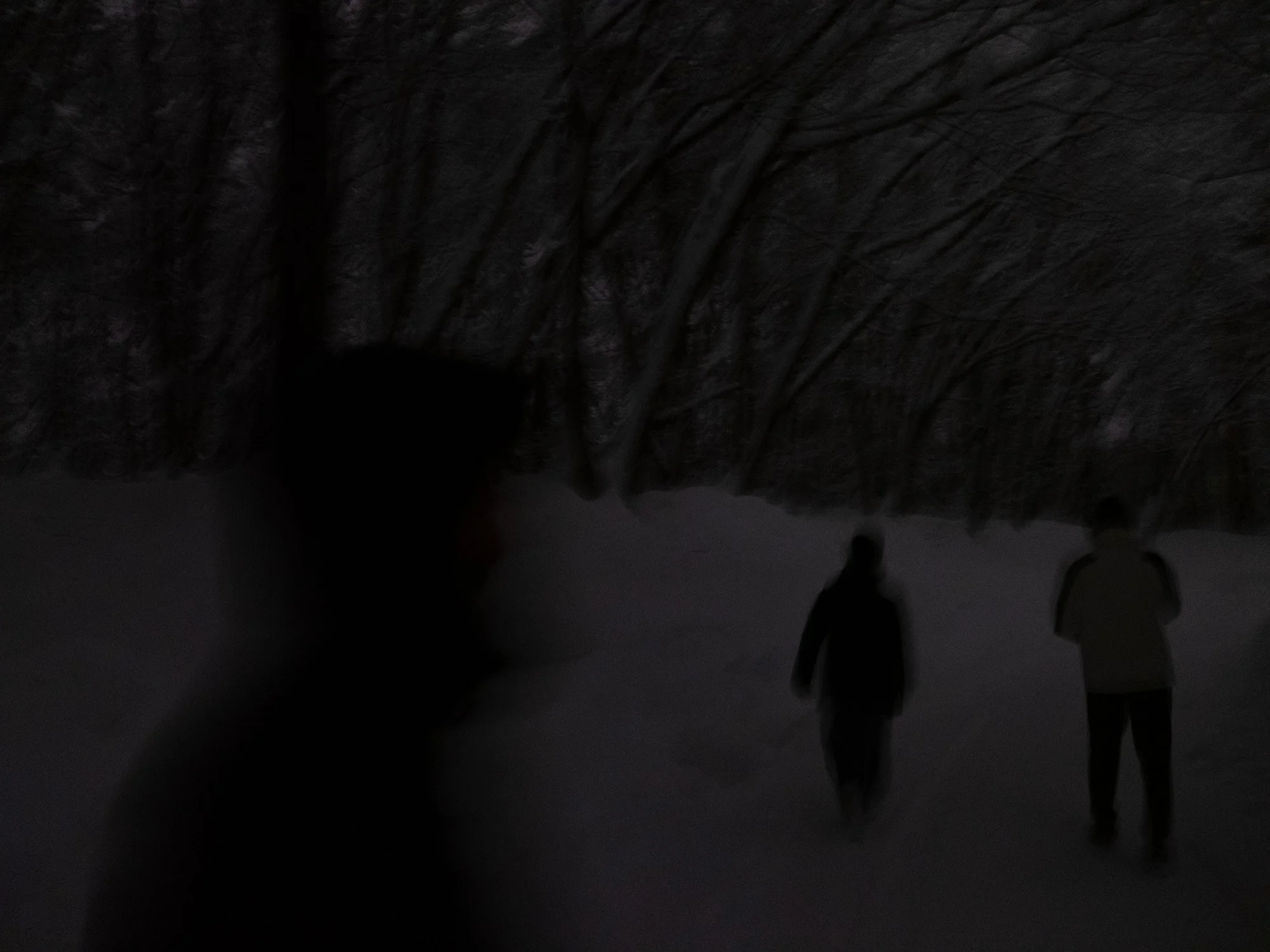 202301 Hakuba-45.jpg