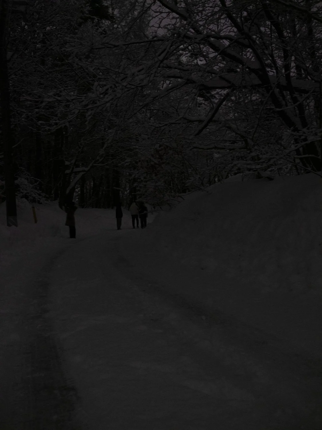 202301 Hakuba-44.jpg