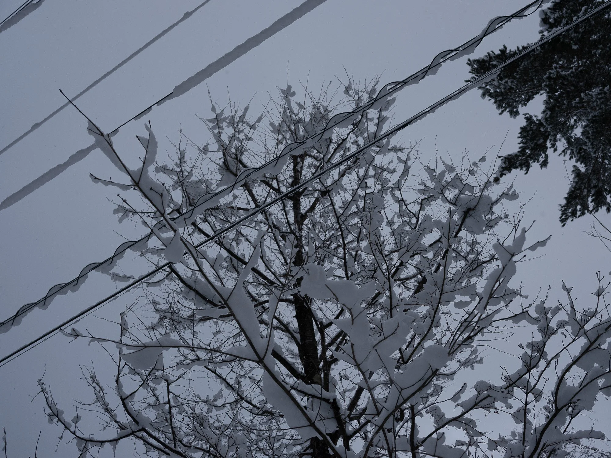 202301 Hakuba-60.jpg