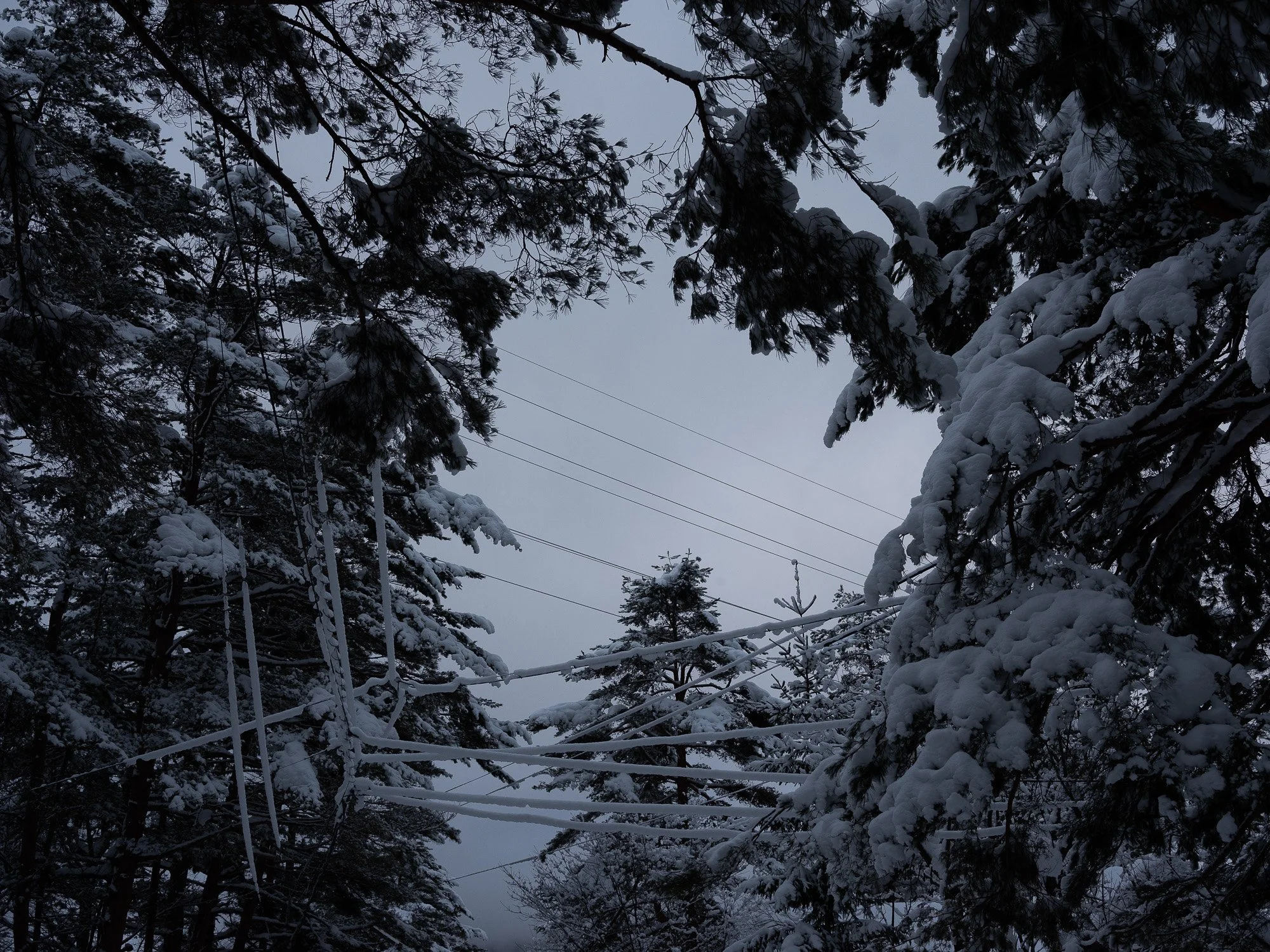 202301 Hakuba-58.jpg
