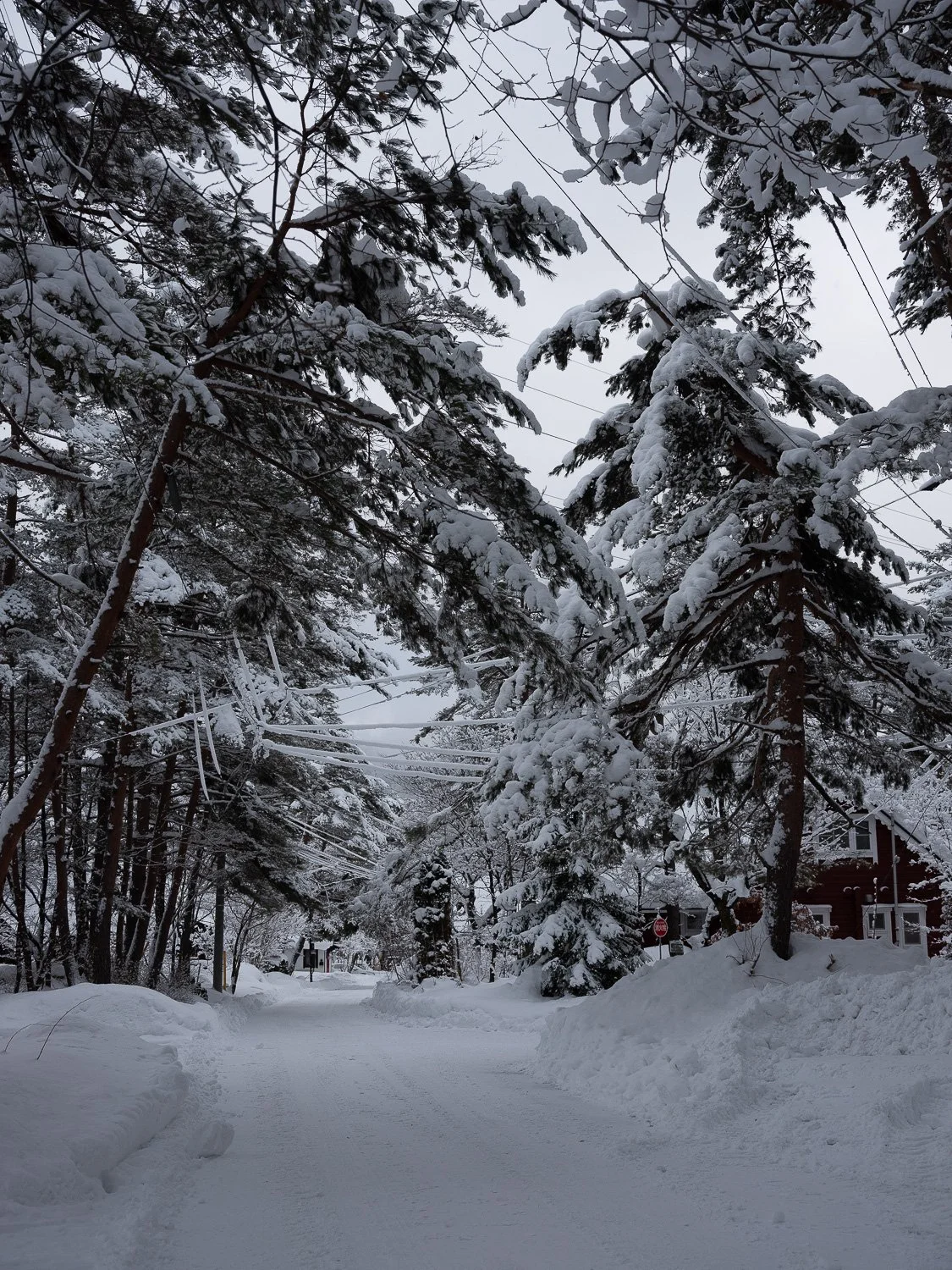 202301 Hakuba-56.jpg
