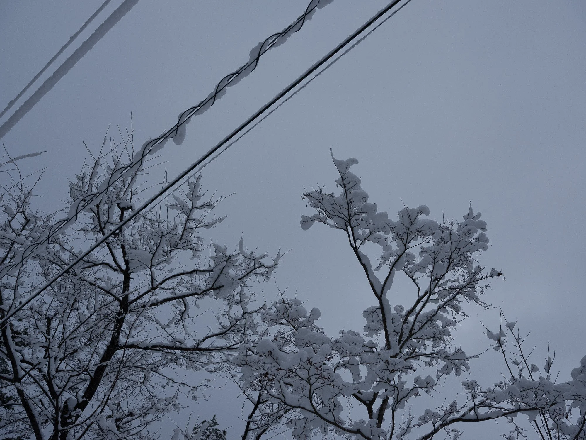 202301 Hakuba-61.jpg