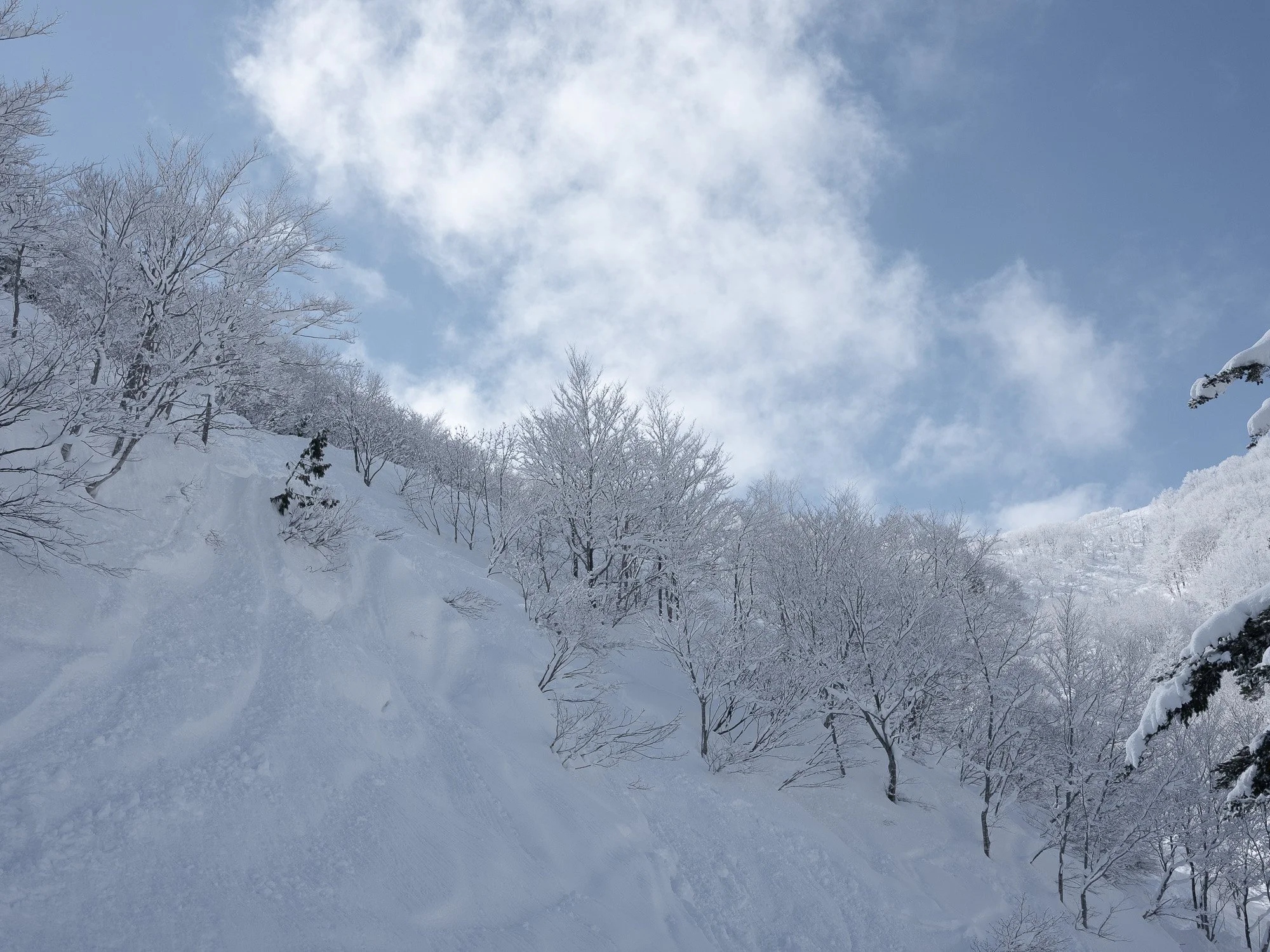 202301 Hakuba-66.jpg