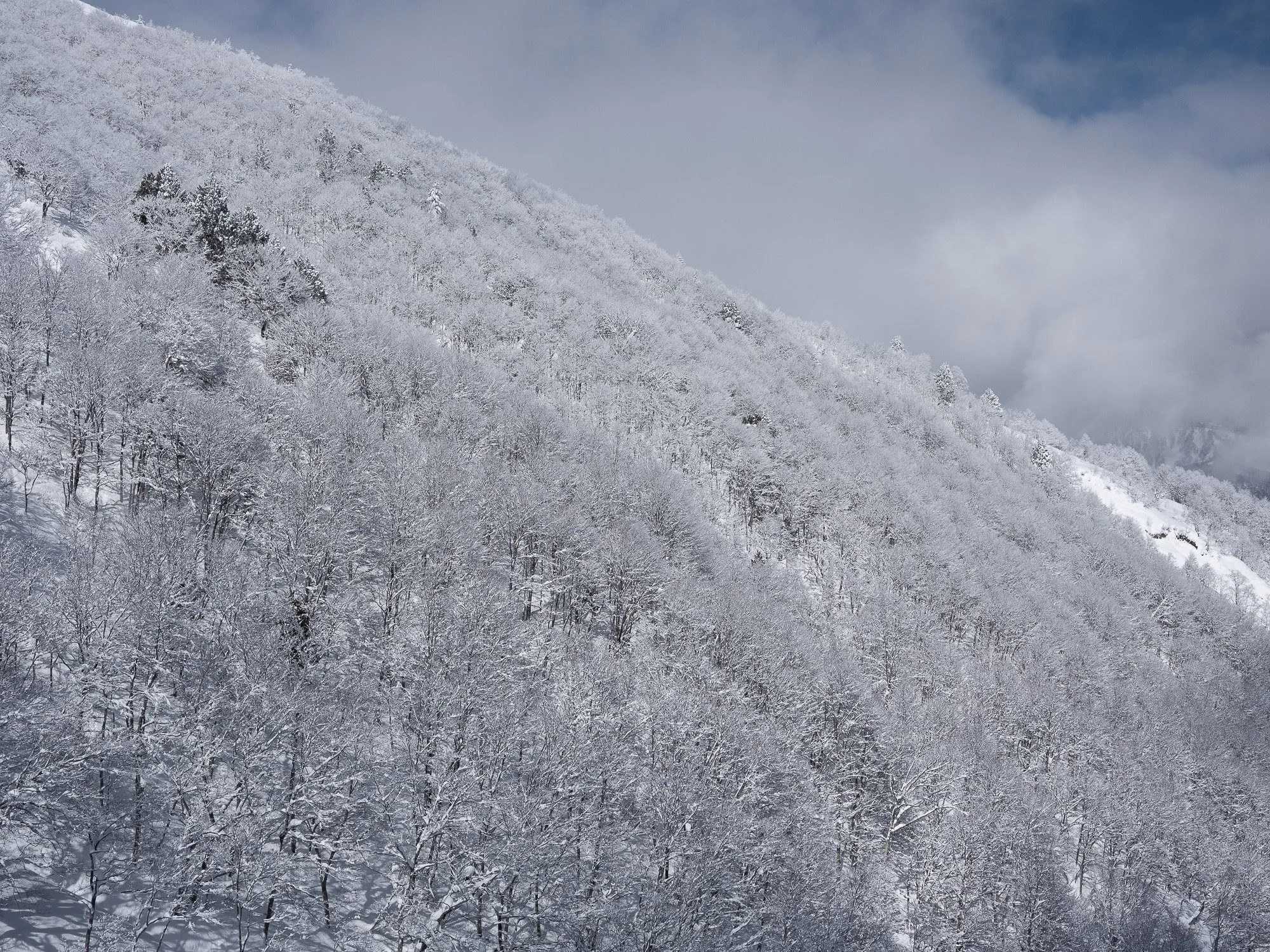 202301 Hakuba-65.jpg