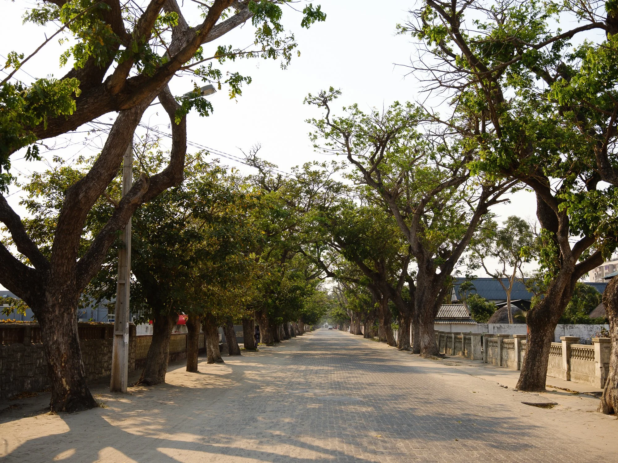 202110 Beira Gorongosa-37.jpg
