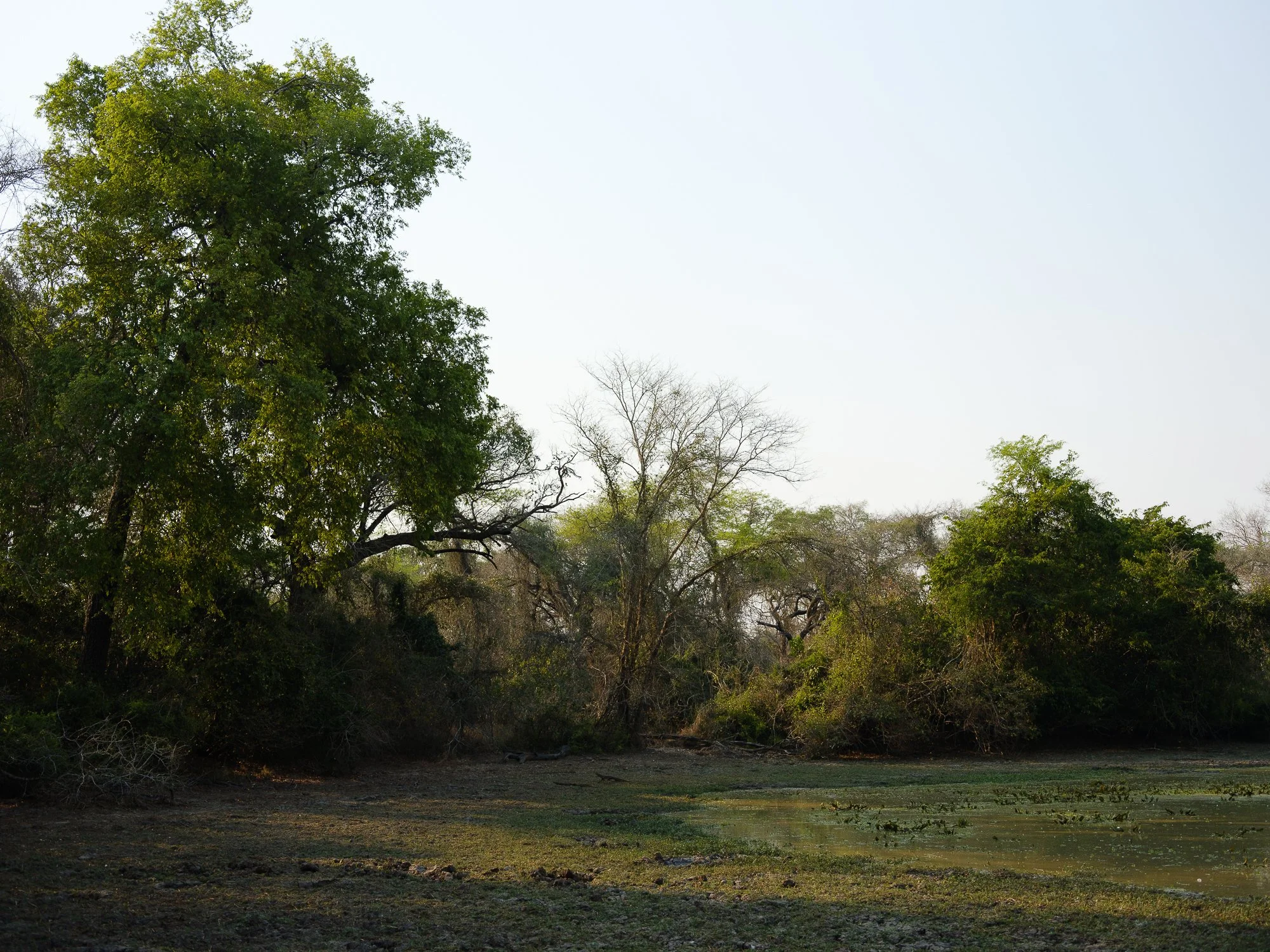 202110 Beira Gorongosa-56.jpg