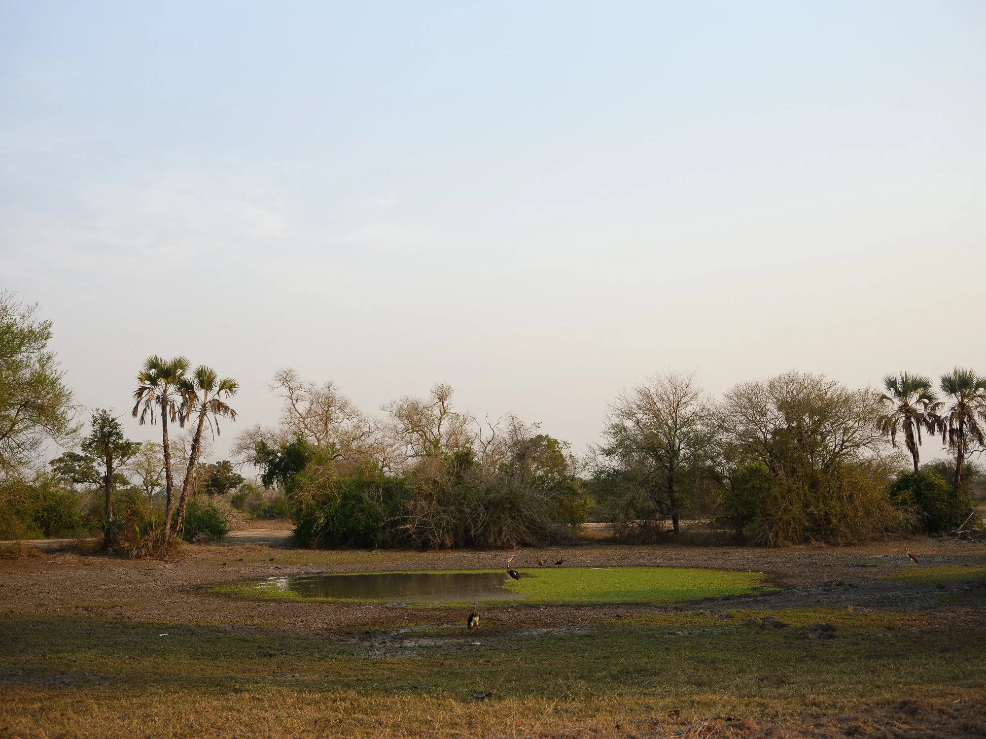 202110 Beira Gorongosa-59.jpg