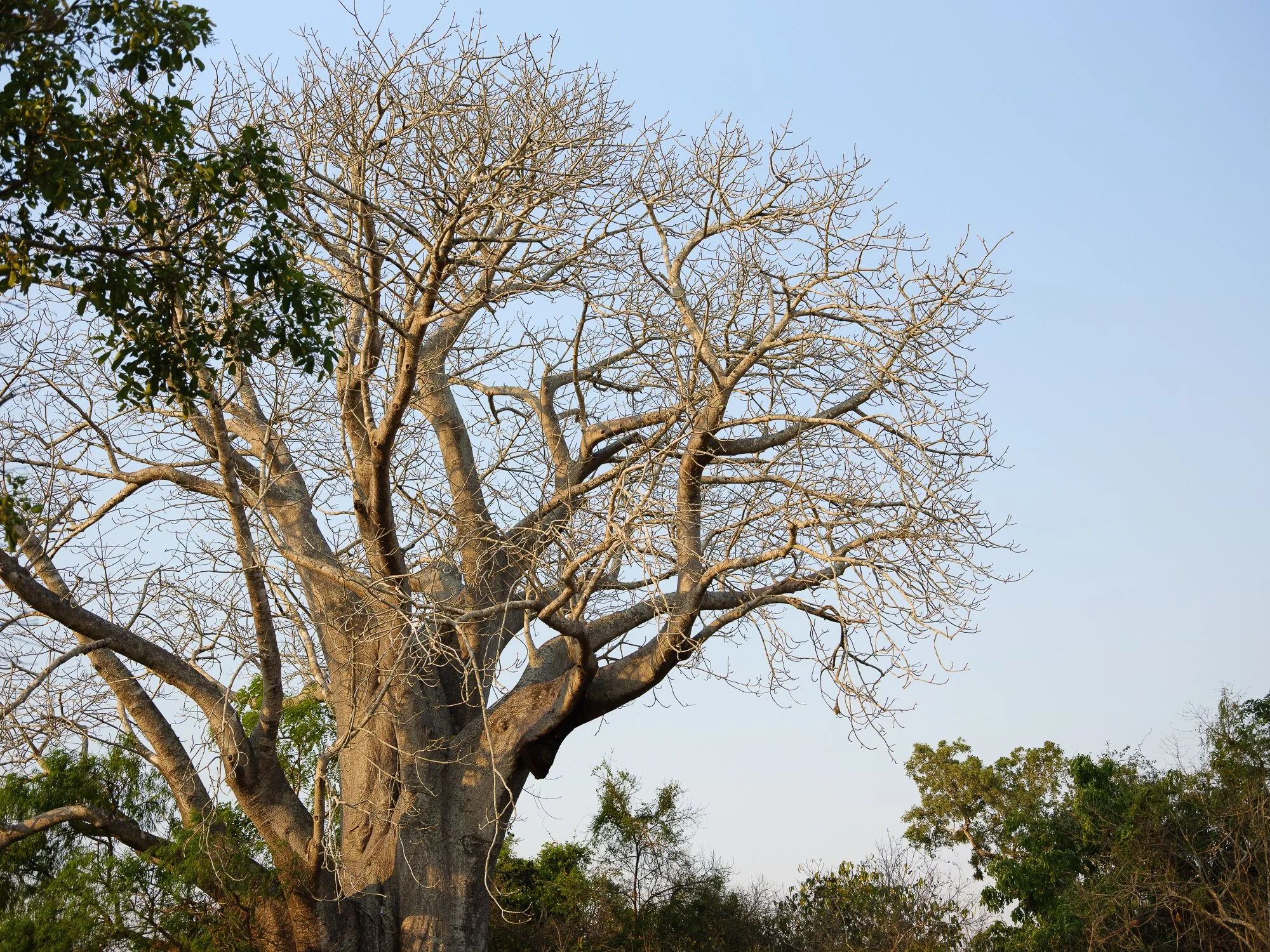 202110 Beira Gorongosa-58.jpg