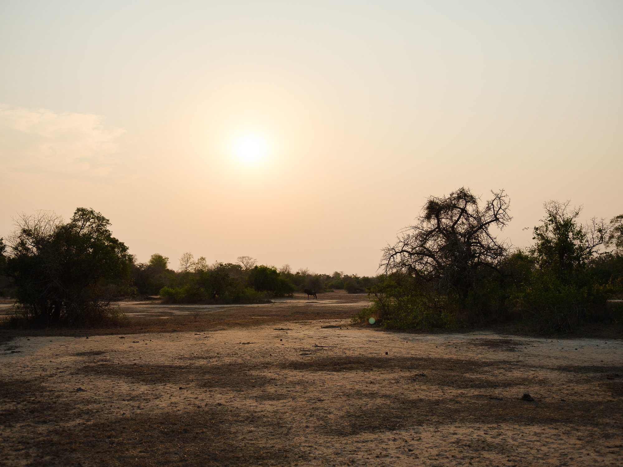 202110 Beira Gorongosa-61.jpg