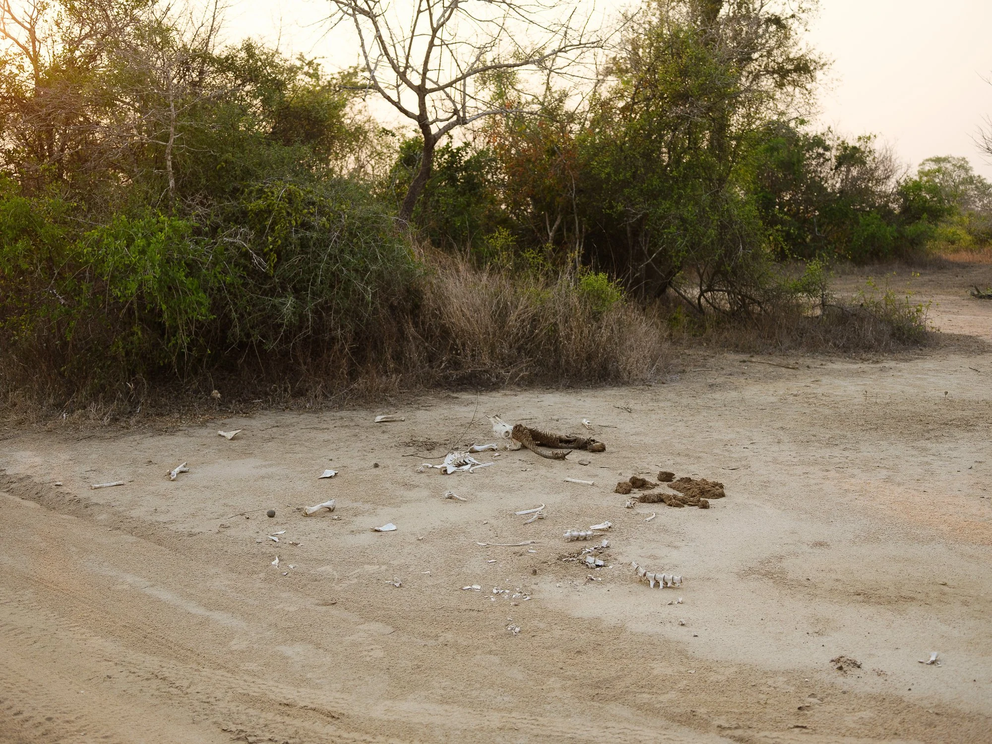 202110 Beira Gorongosa-60.jpg