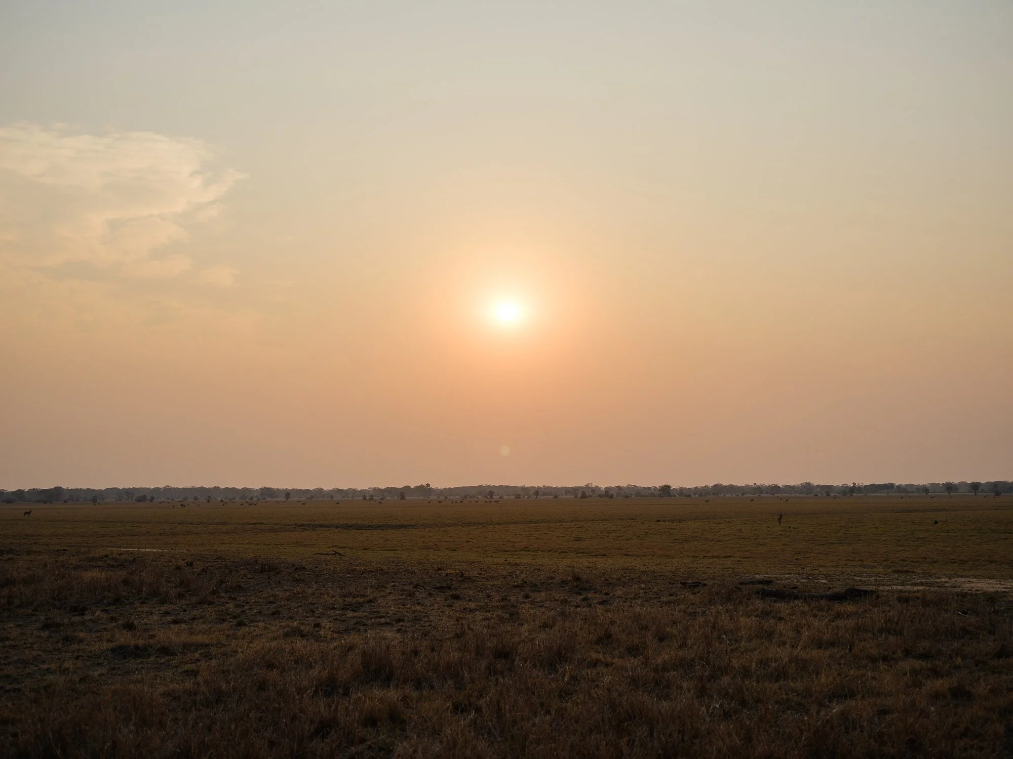 202110 Beira Gorongosa-62.jpg