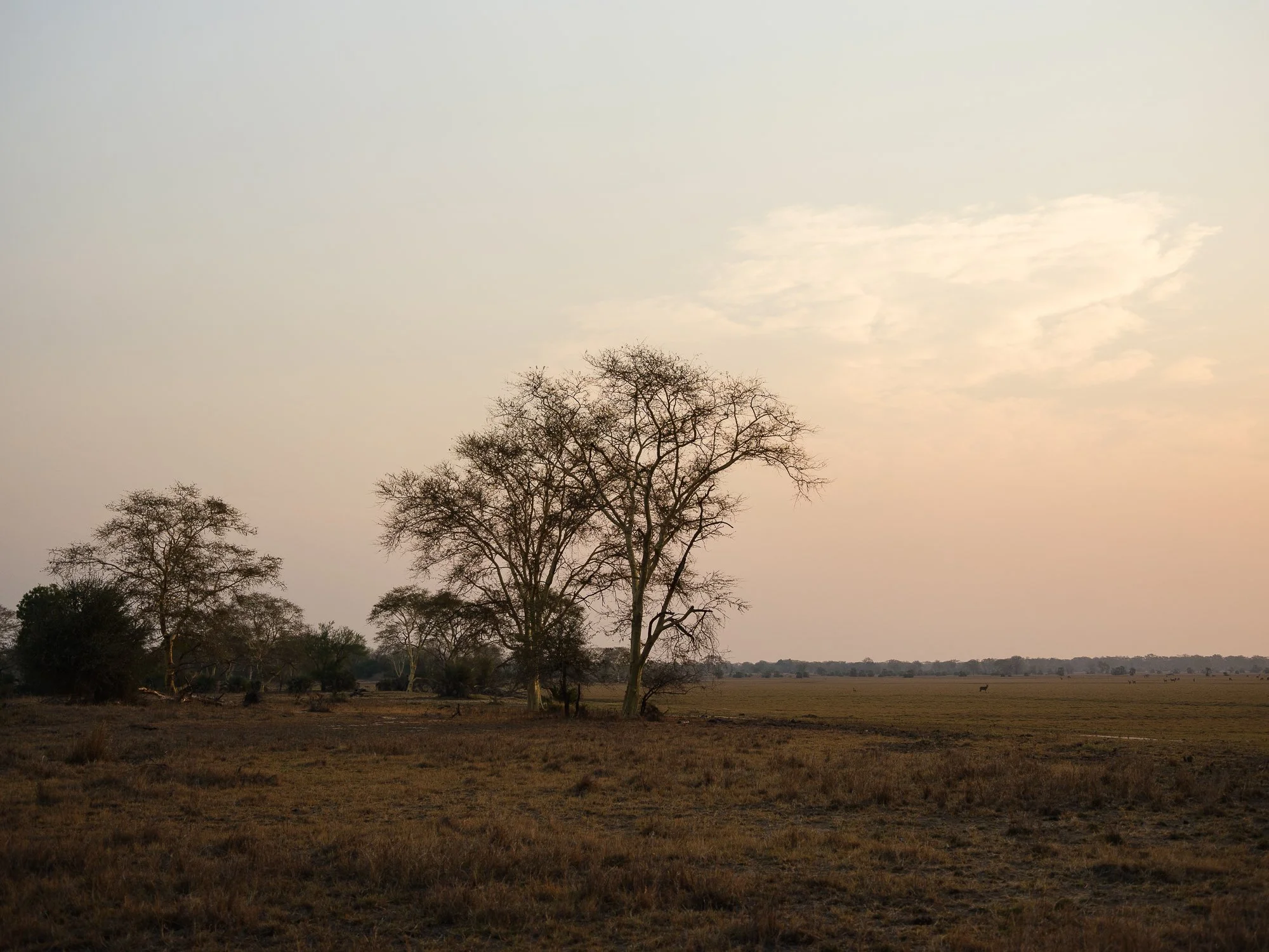 202110 Beira Gorongosa-63.jpg
