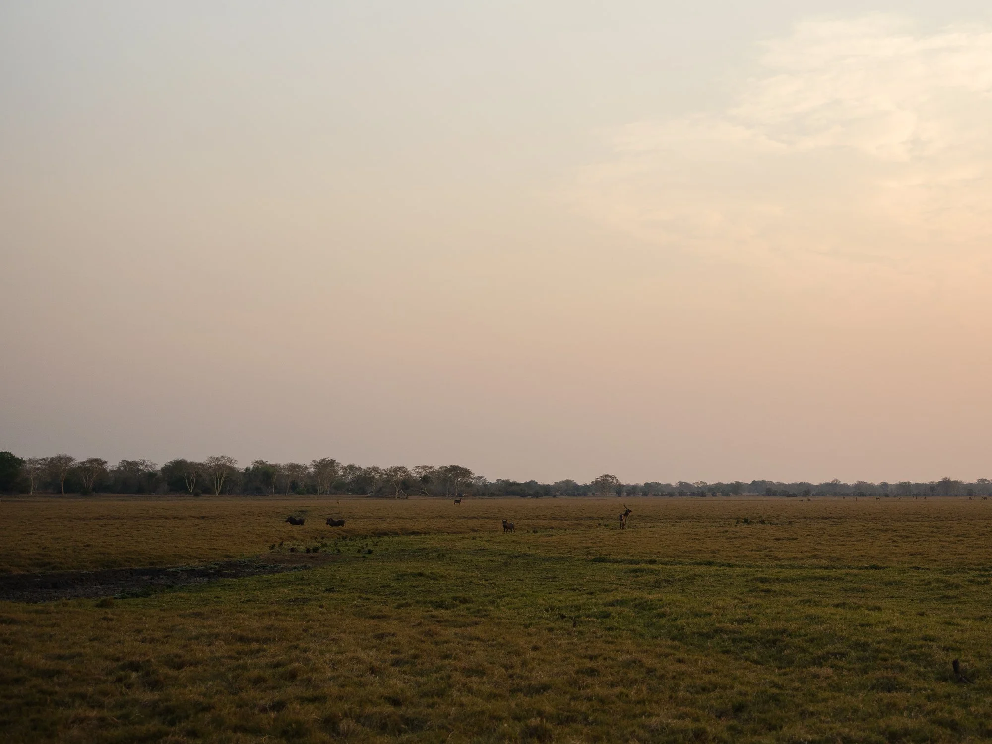 202110 Beira Gorongosa-64.jpg