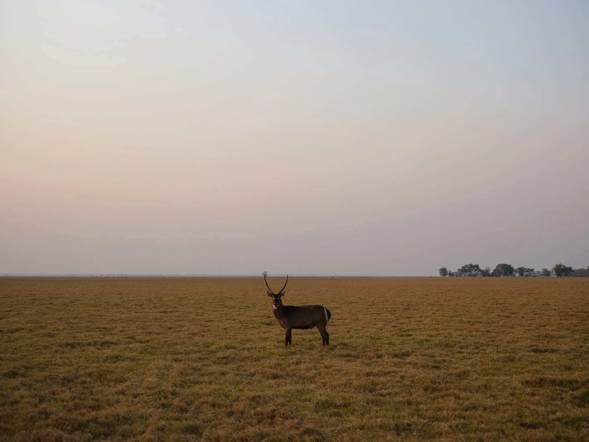 202110 Beira Gorongosa-65.jpg