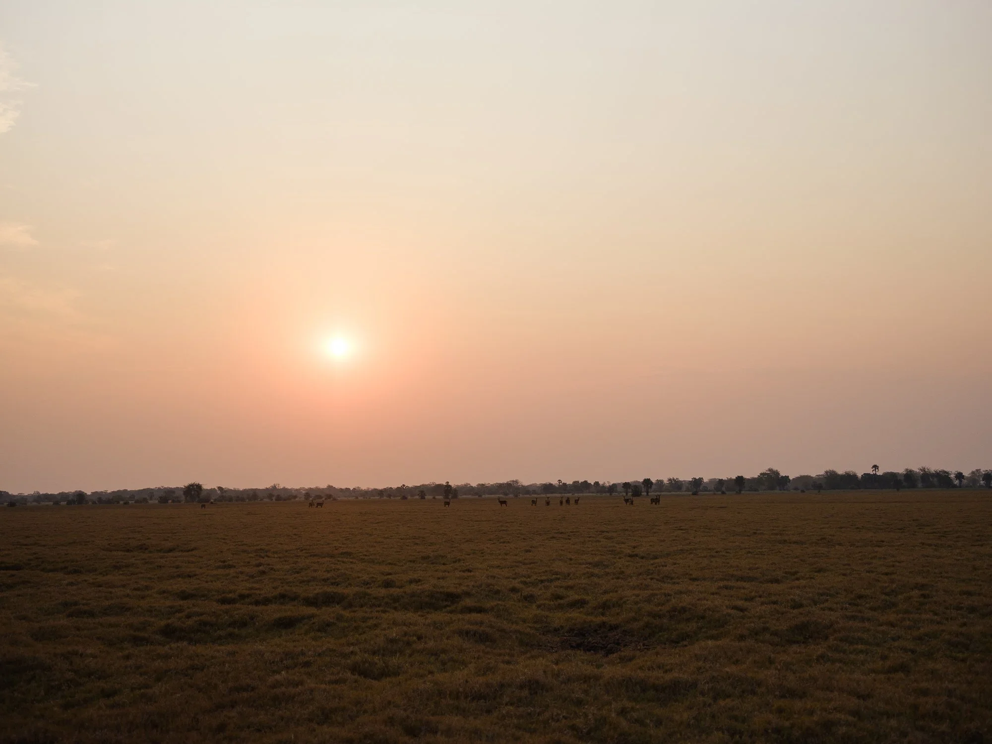 202110 Beira Gorongosa-66.jpg