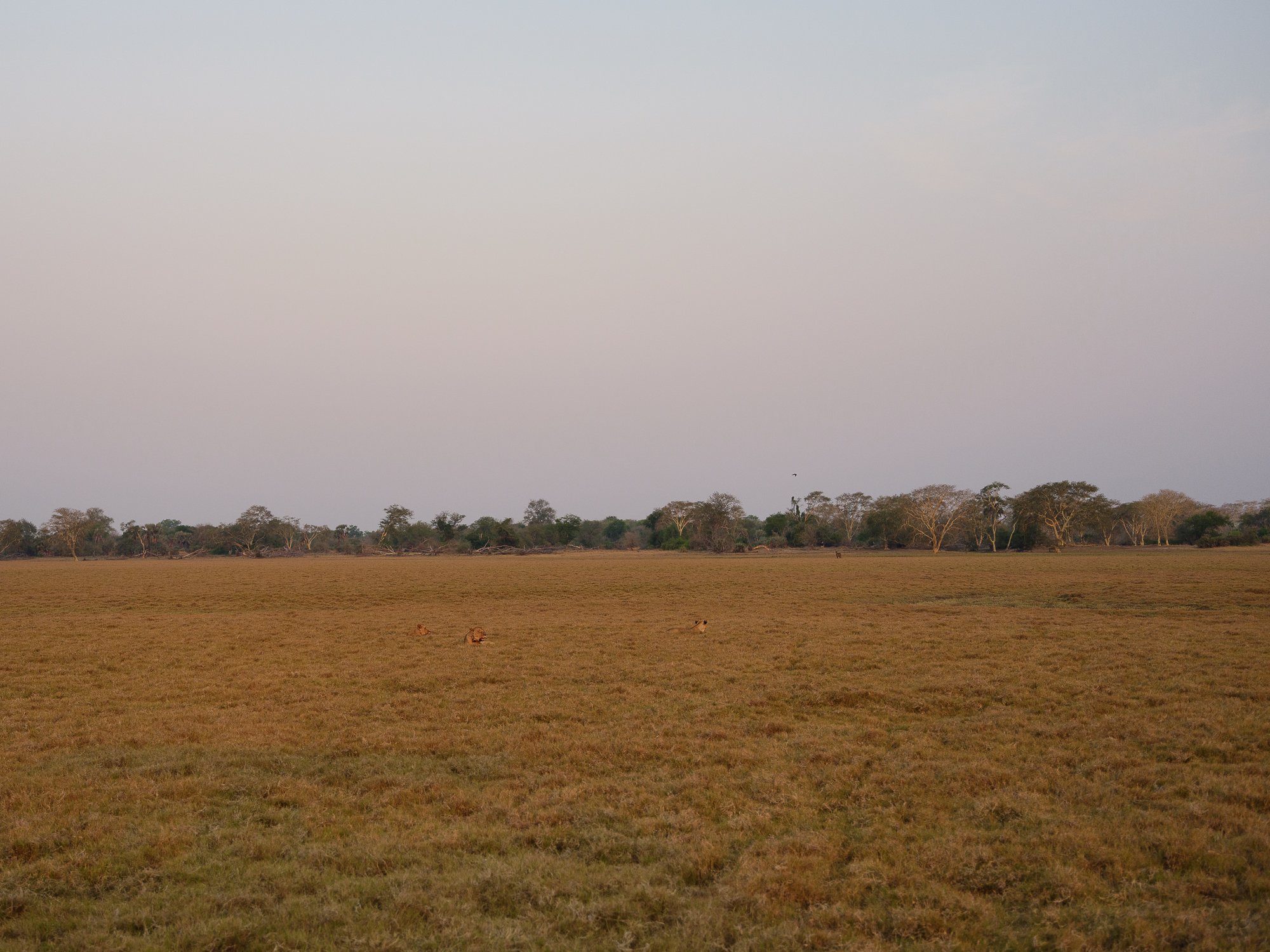 202110 Beira Gorongosa-68.jpg