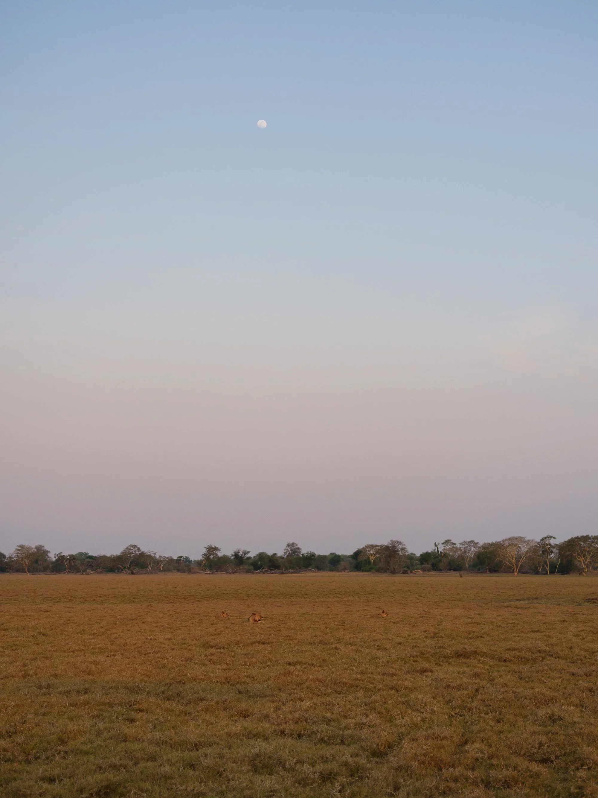 202110 Beira Gorongosa-67.jpg