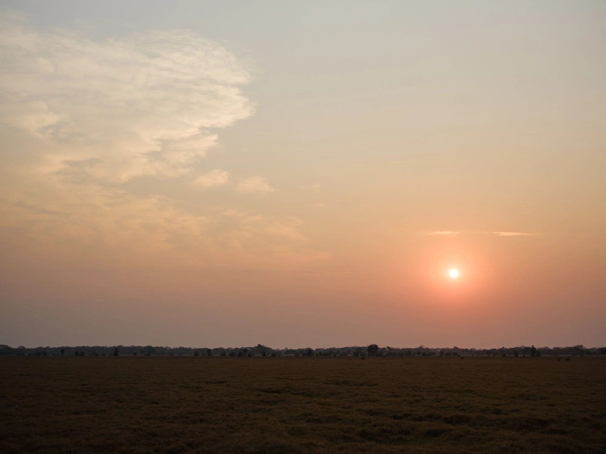 202110 Beira Gorongosa-69.jpg