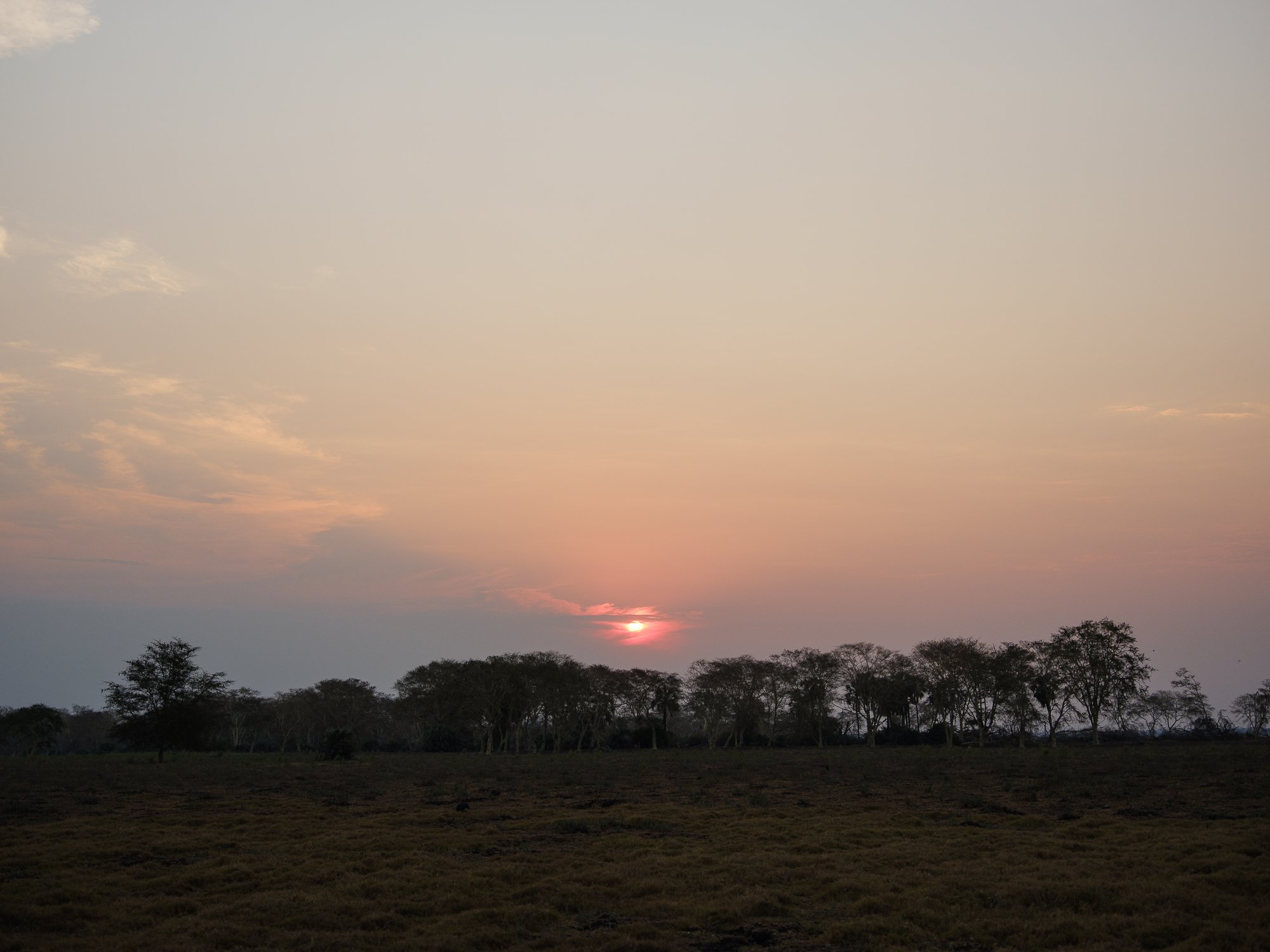 202110 Beira Gorongosa-70.jpg