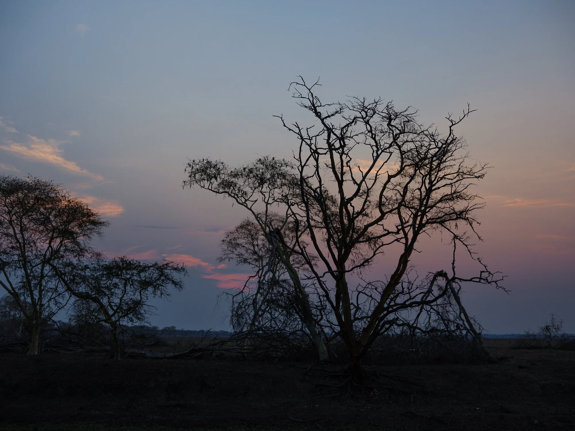 202110 Beira Gorongosa-73.jpg