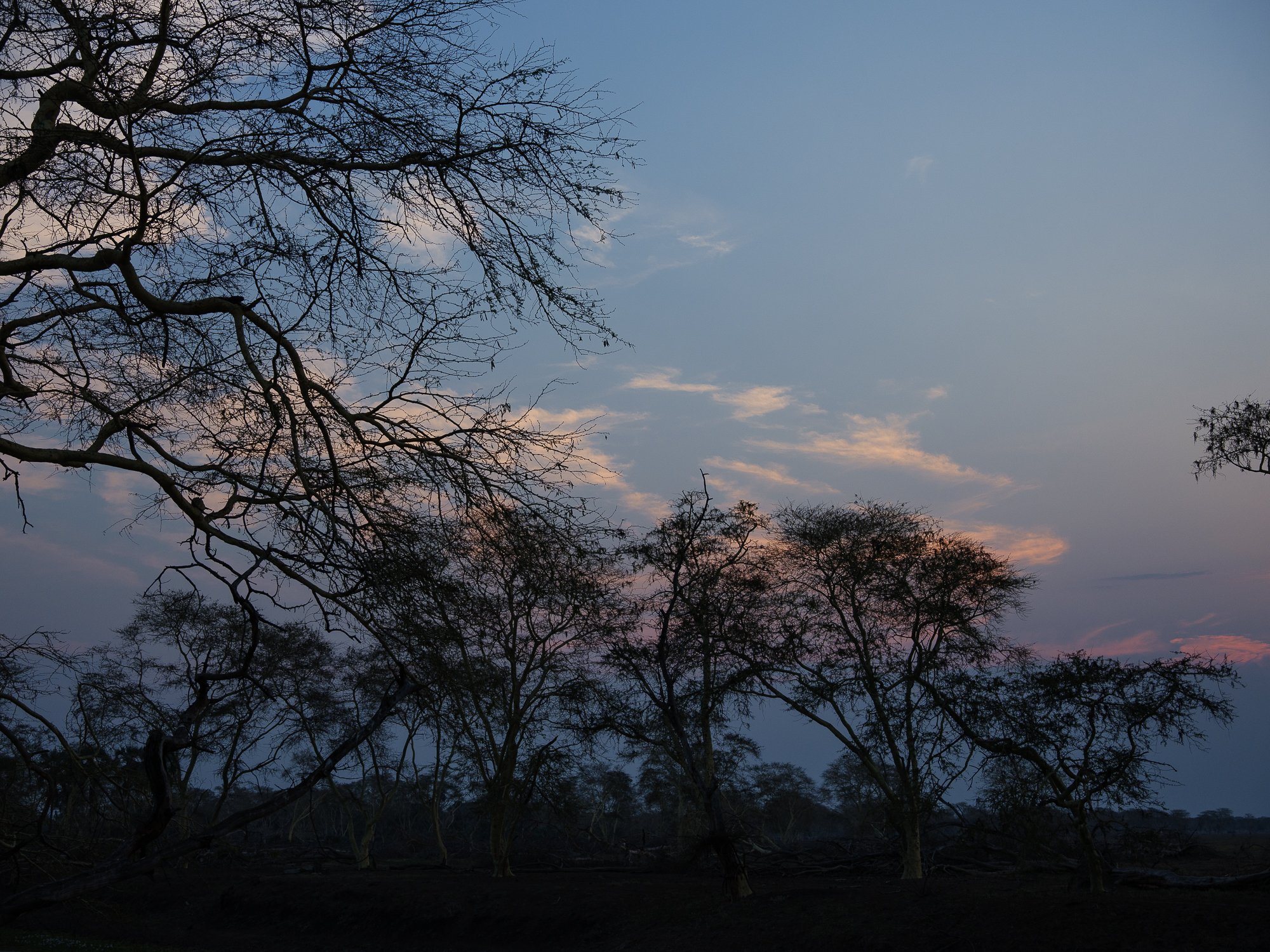 202110 Beira Gorongosa-74.jpg