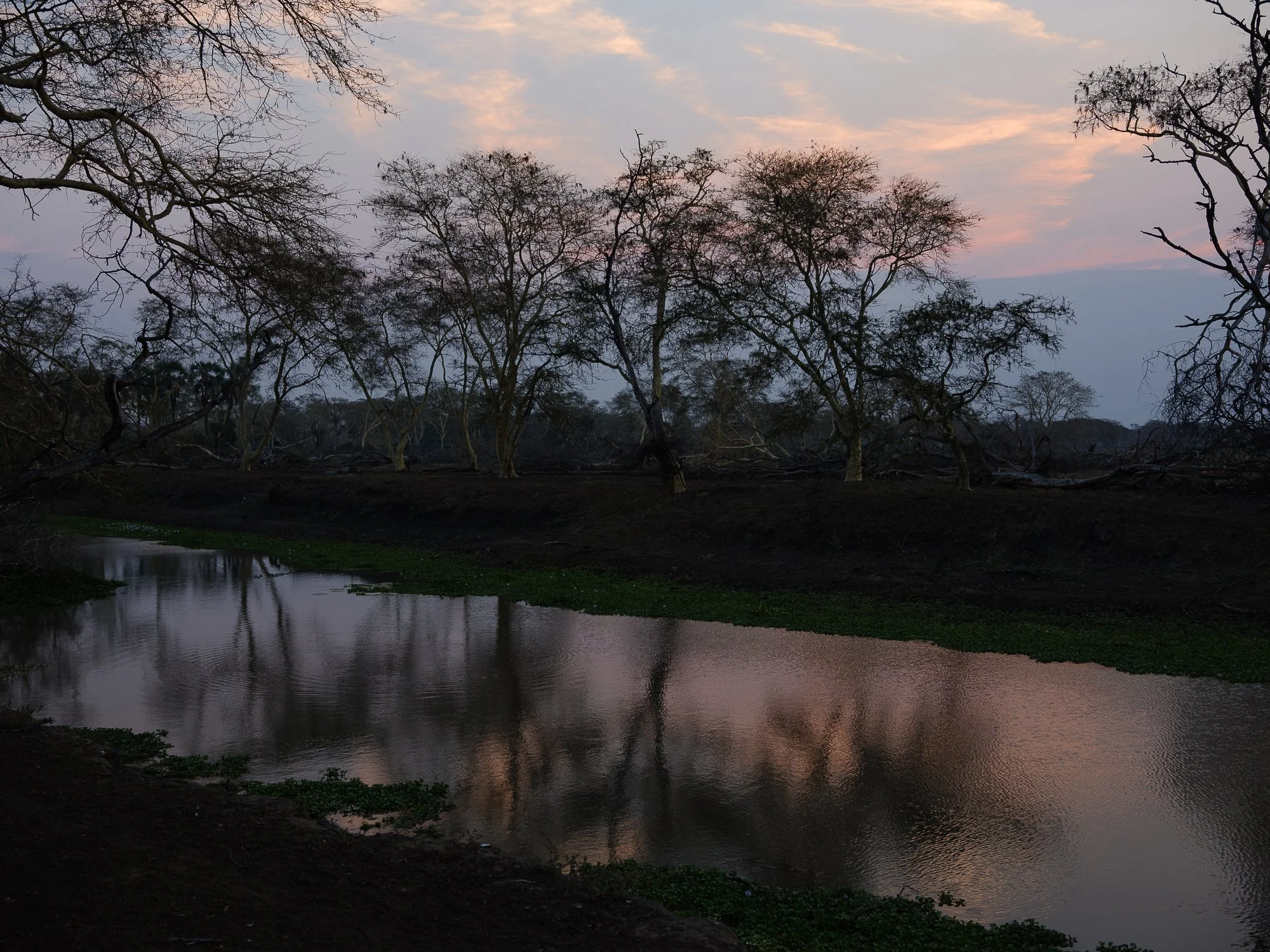 202110 Beira Gorongosa-76.jpg