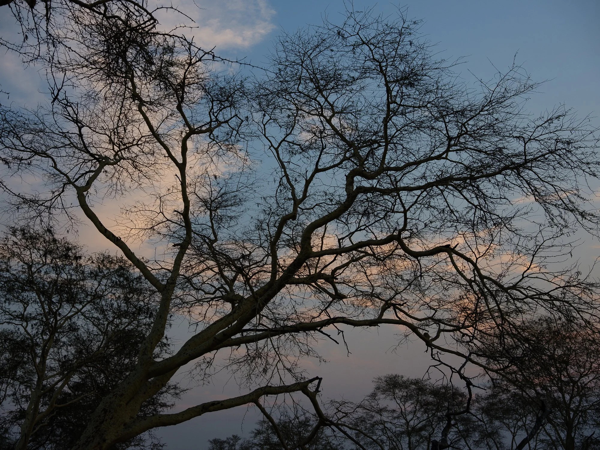 202110 Beira Gorongosa-77.jpg
