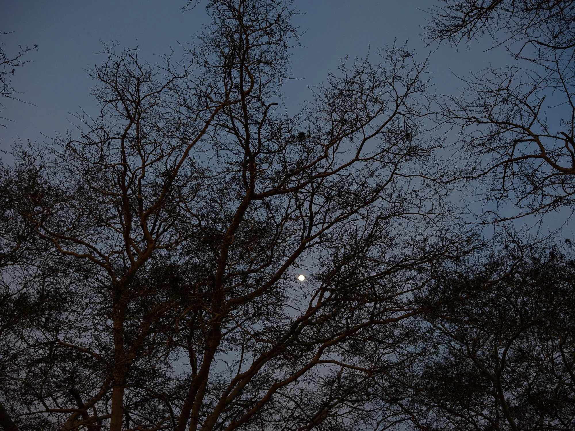 202110 Beira Gorongosa-78.jpg