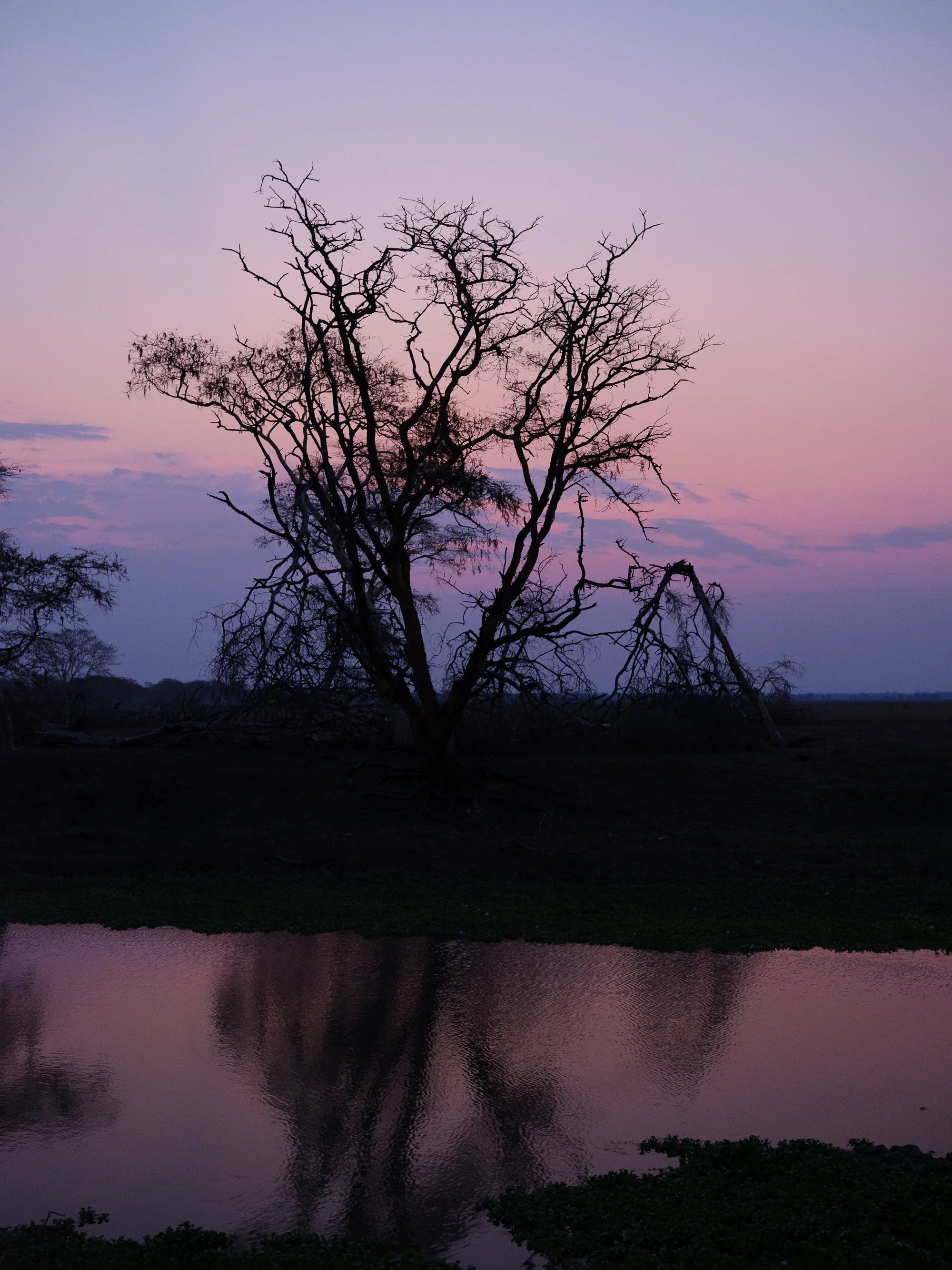 202110 Beira Gorongosa-80.jpg