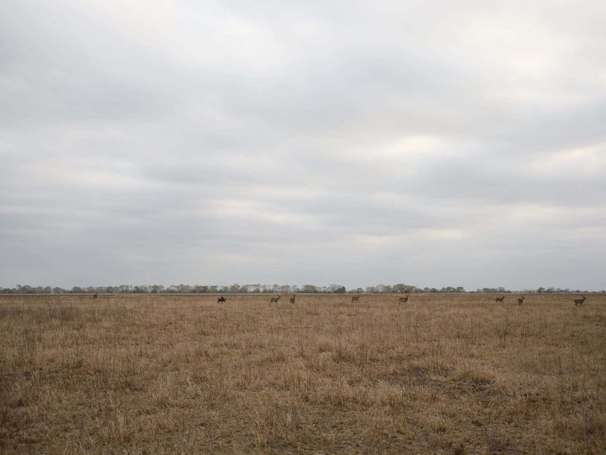 202110 Beira Gorongosa-82.jpg