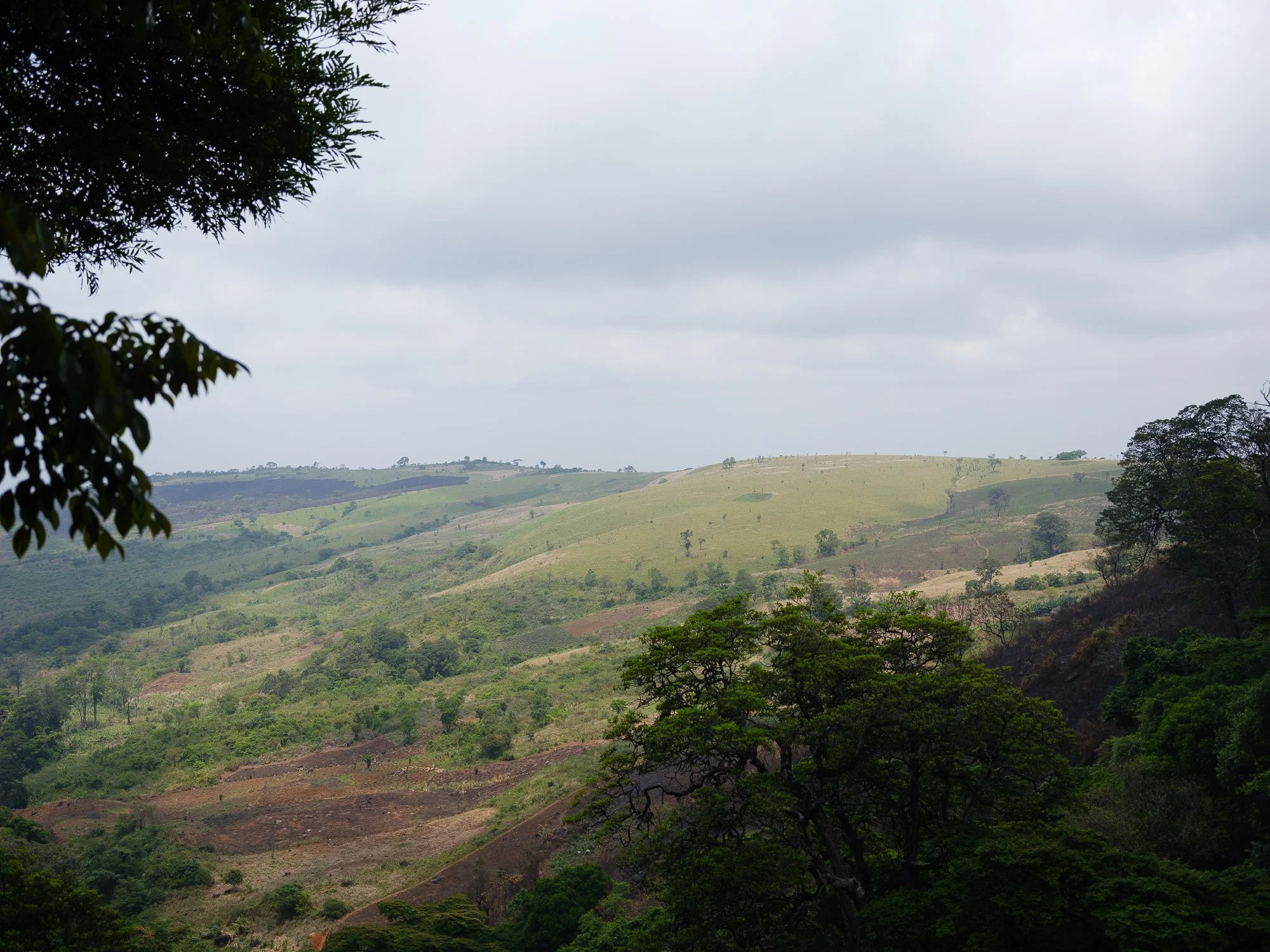202110 Beira Gorongosa-86.jpg