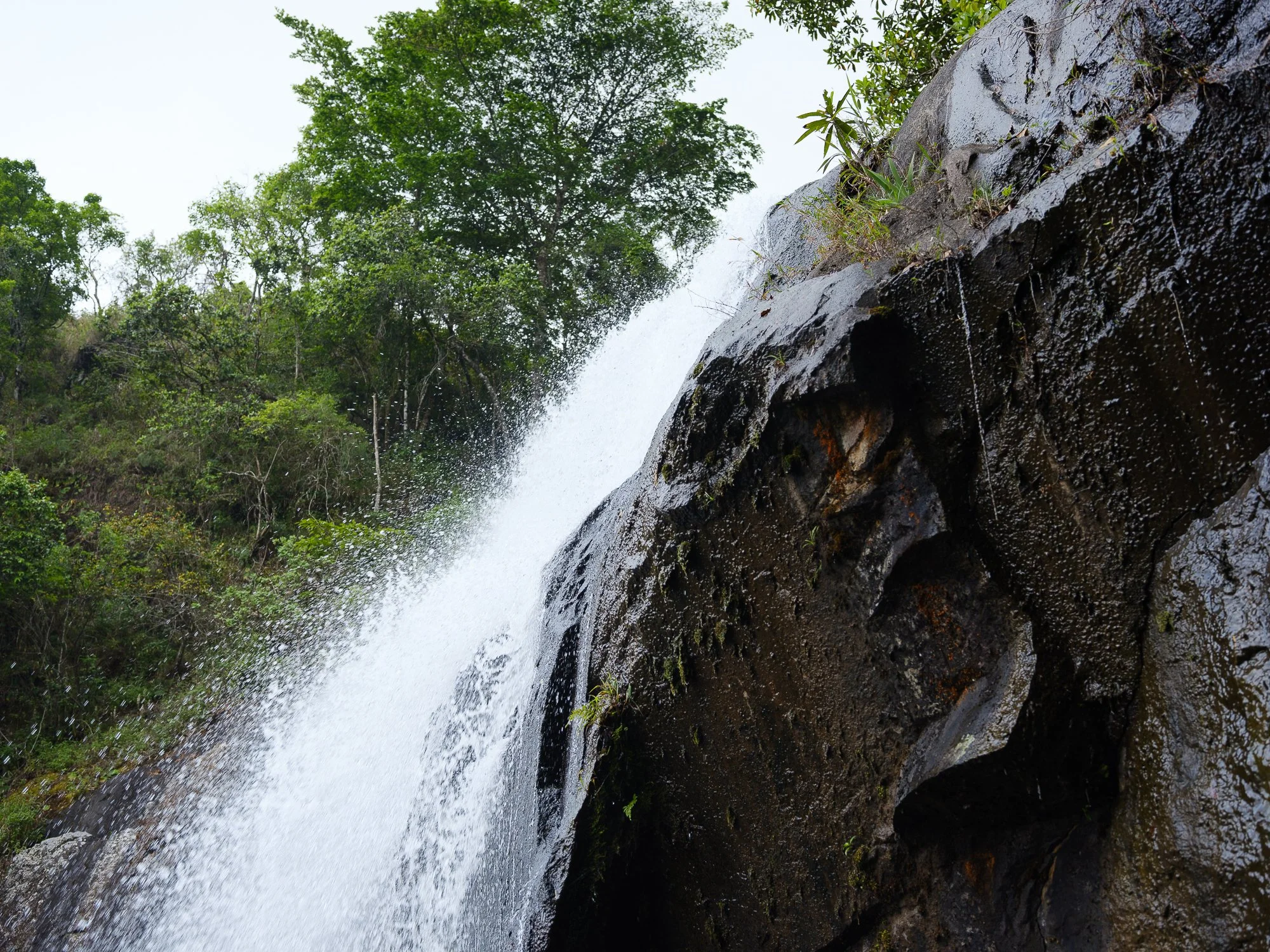 202110 Beira Gorongosa-89.jpg