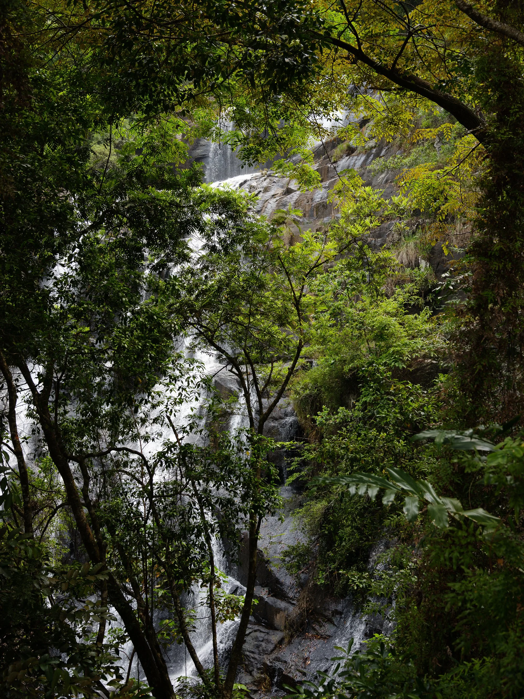 202110 Beira Gorongosa-91.jpg