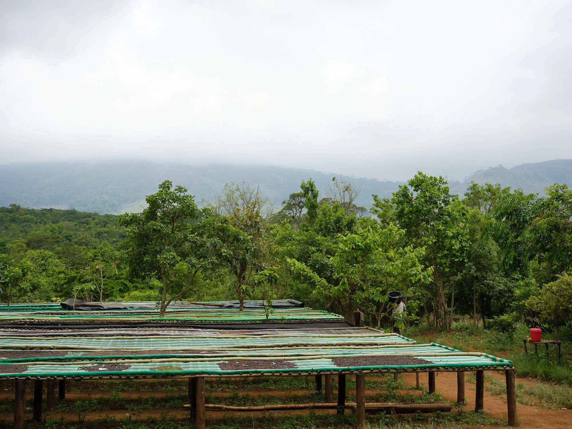202110 Beira Gorongosa-98.jpg