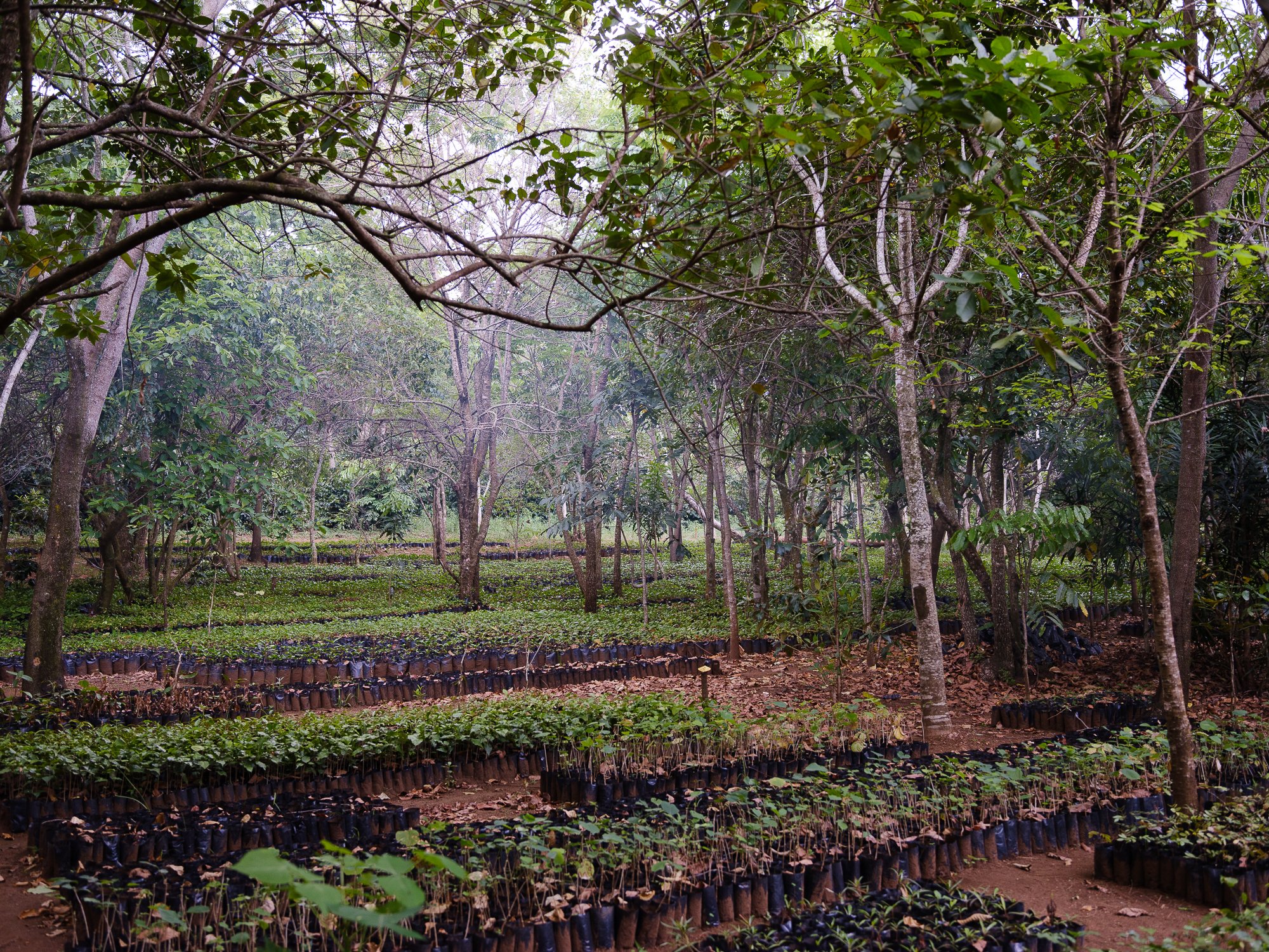 202110 Beira Gorongosa-102.jpg