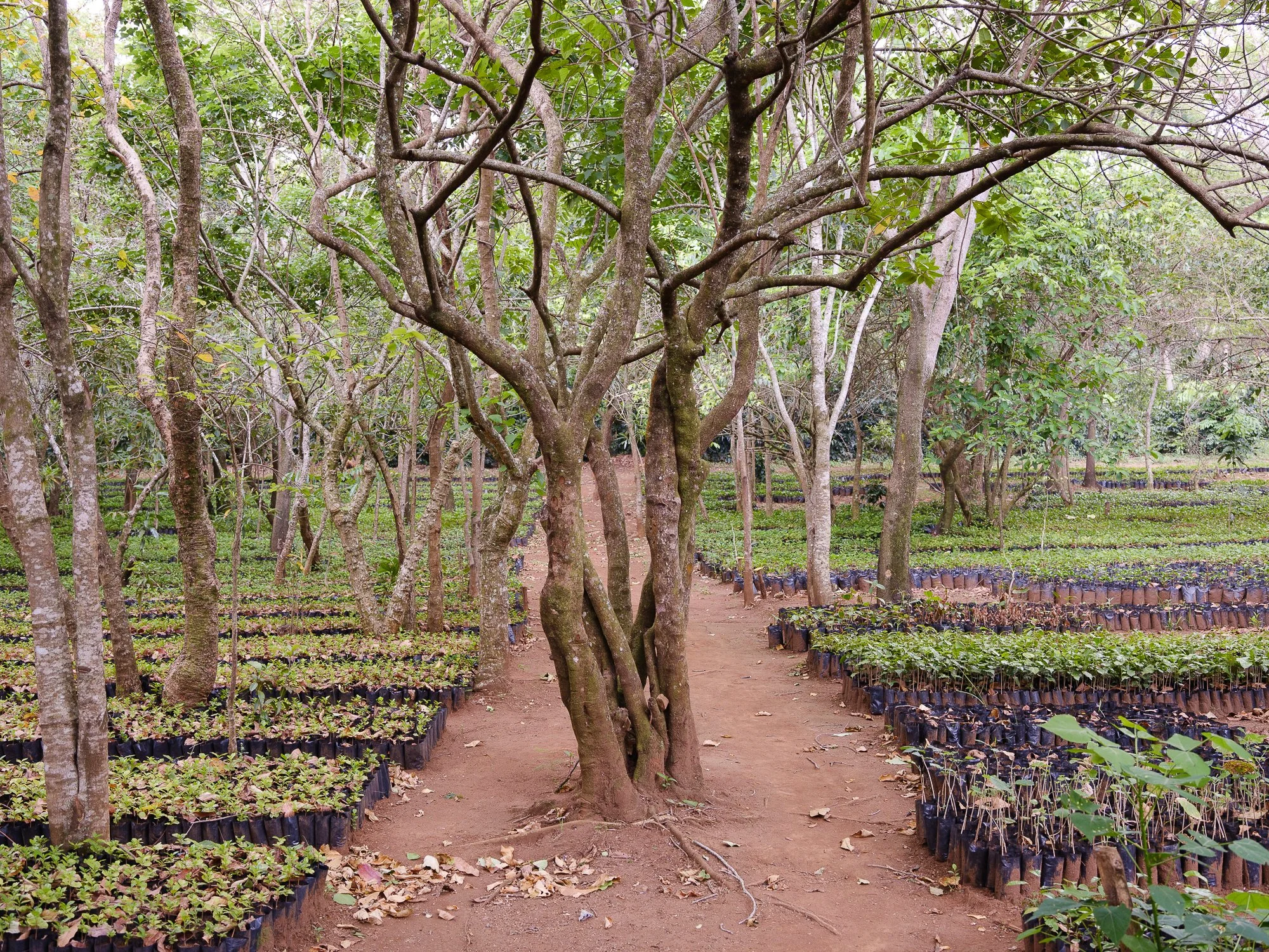 202110 Beira Gorongosa-101.jpg