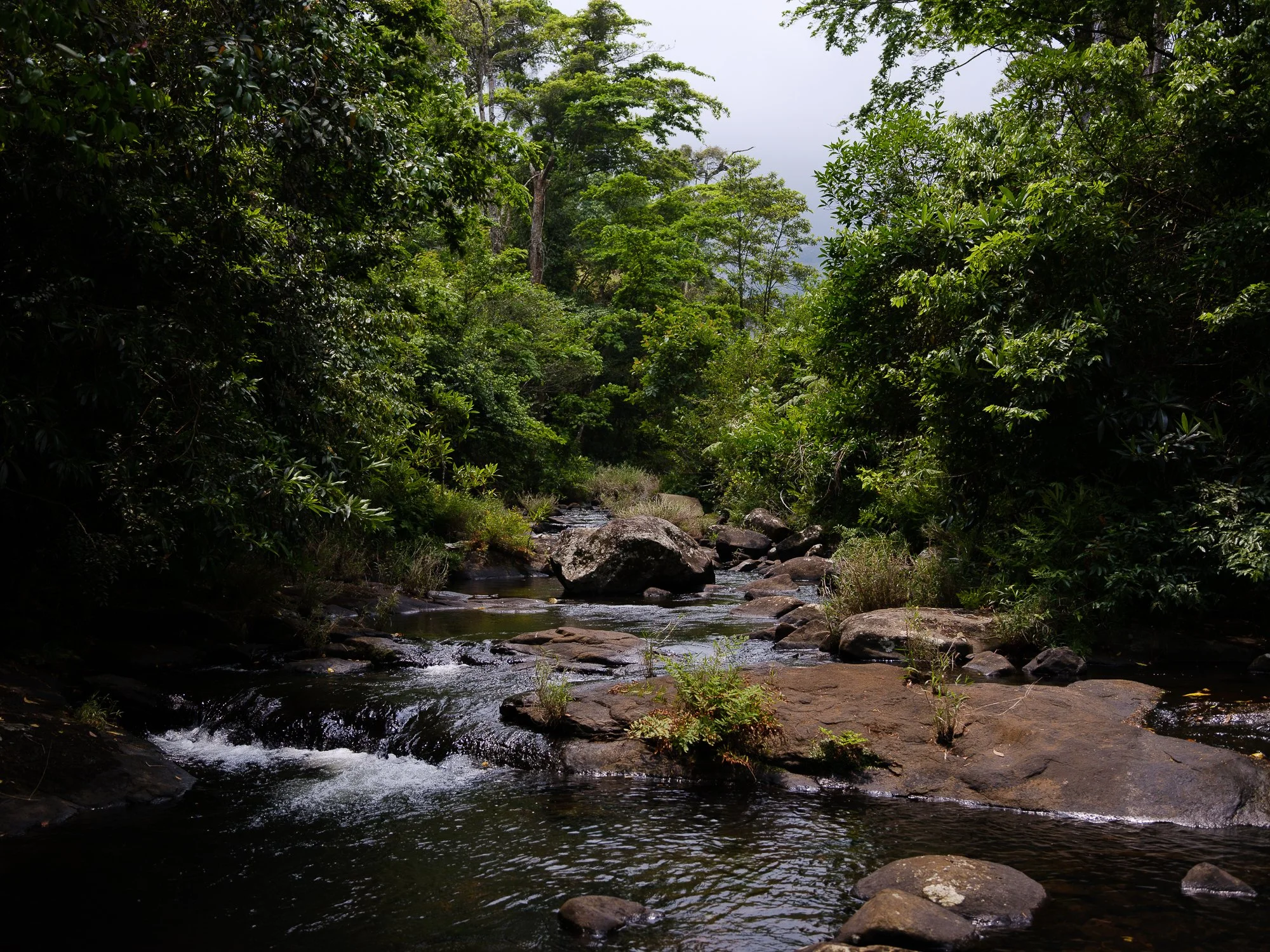 202110 Beira Gorongosa-104.jpg