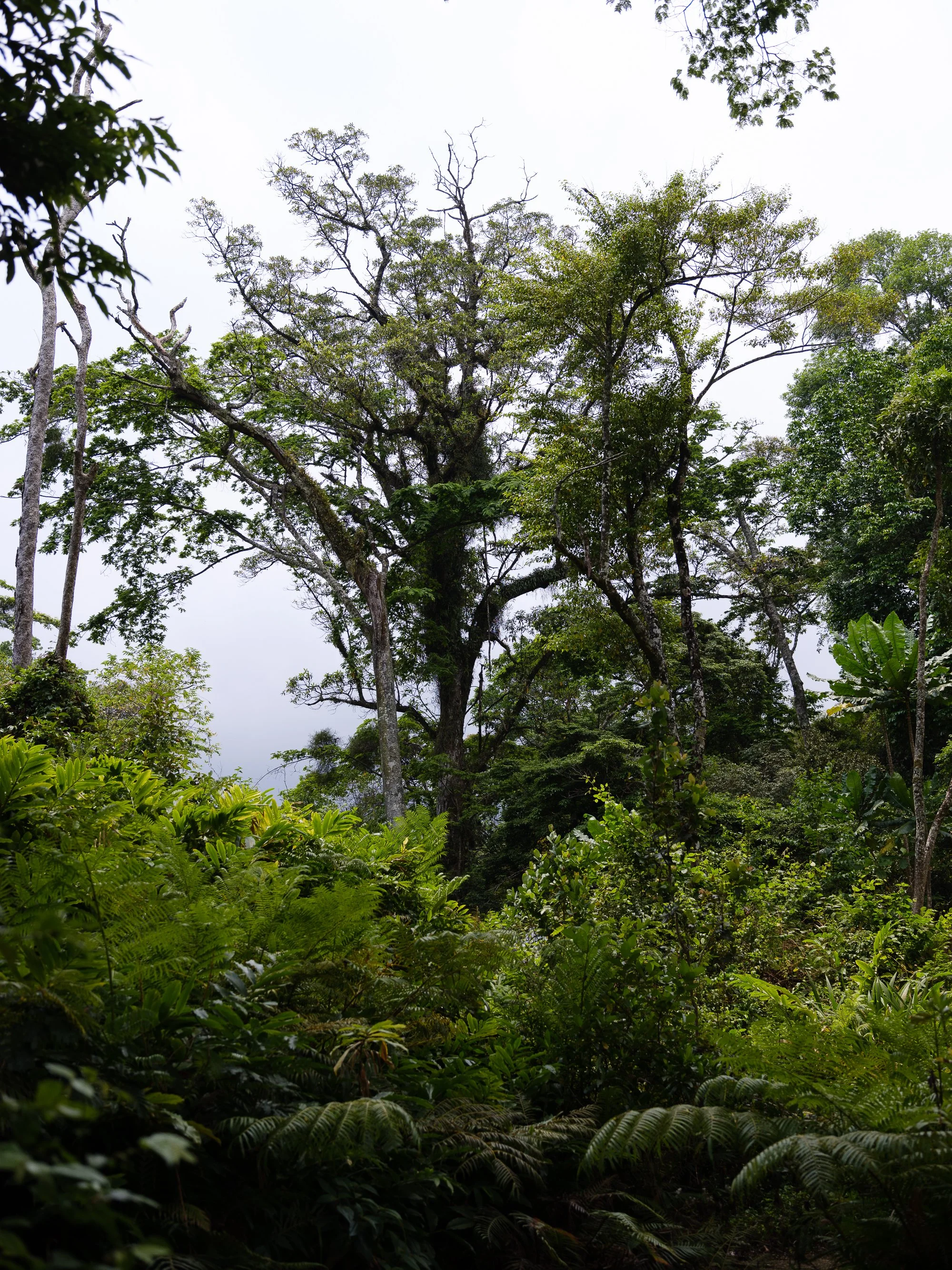 202110 Beira Gorongosa-105.jpg