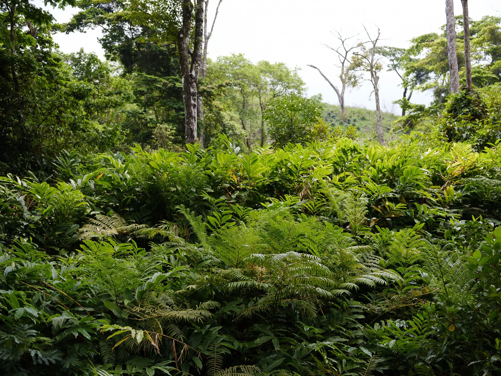 202110 Beira Gorongosa-106.jpg