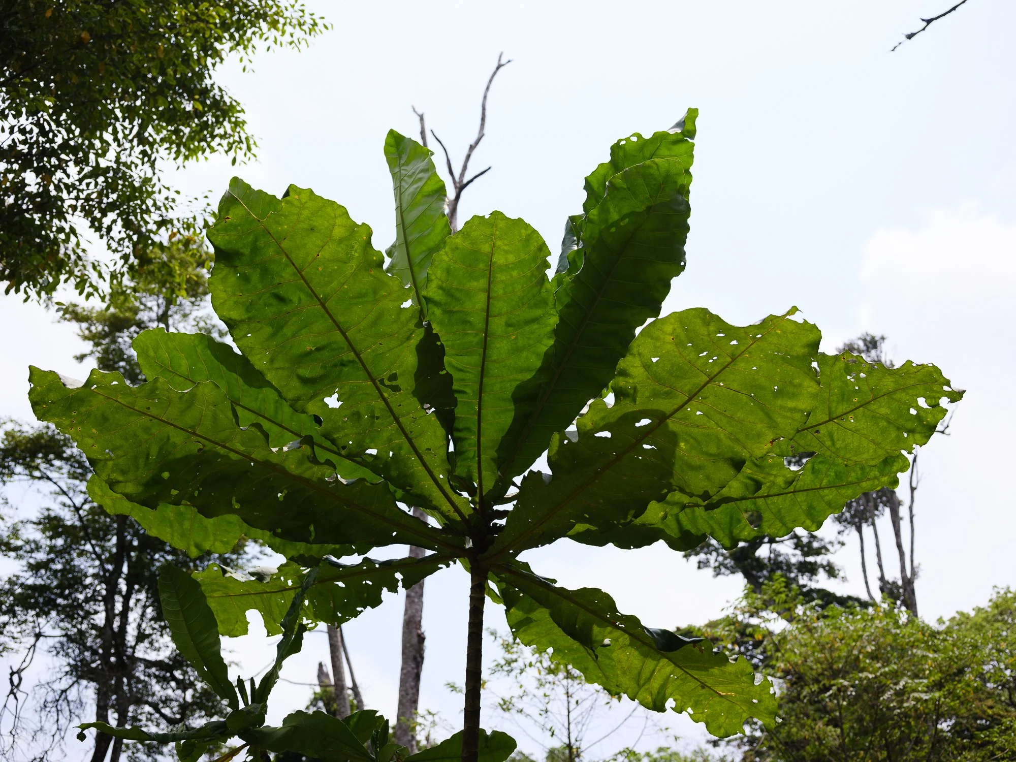 202110 Beira Gorongosa-109.jpg