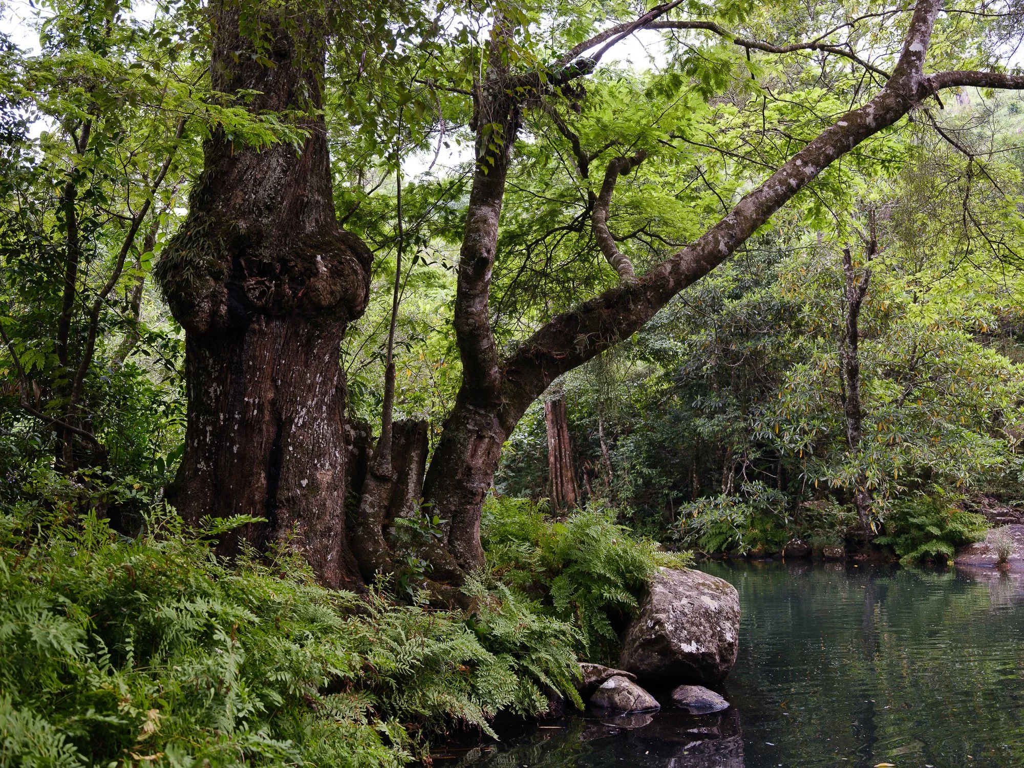 202110 Beira Gorongosa-110.jpg