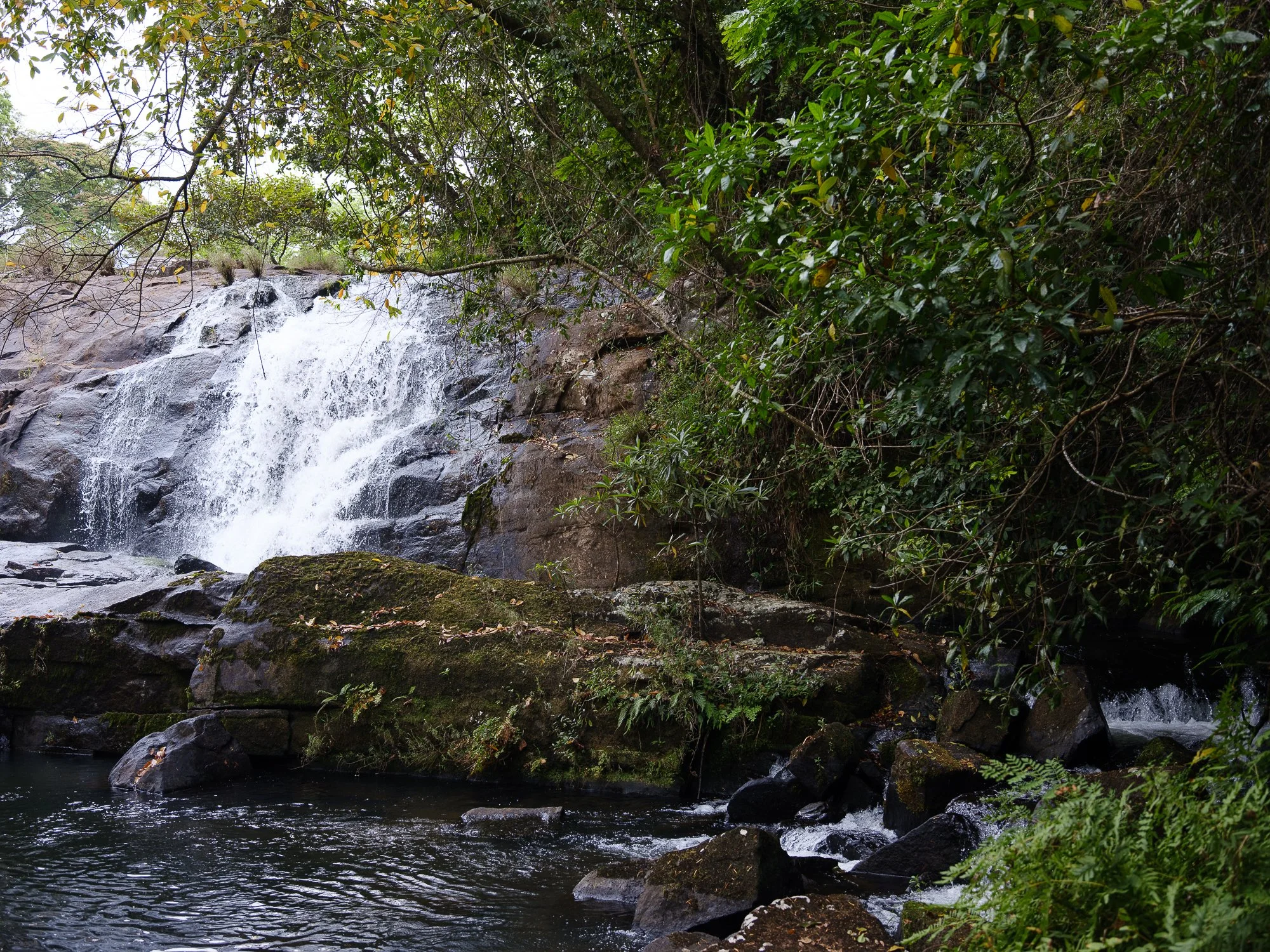 202110 Beira Gorongosa-111.jpg