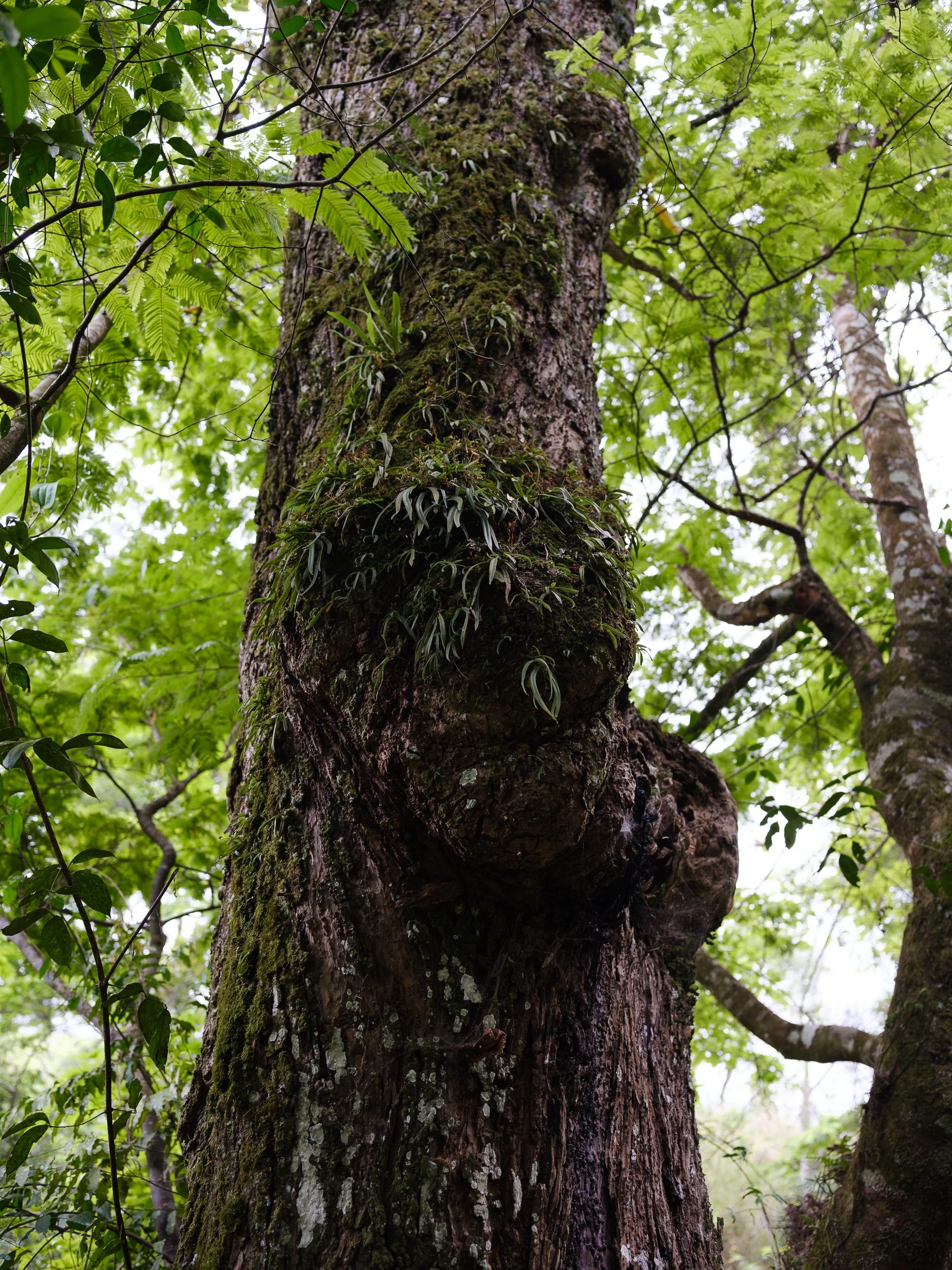 202110 Beira Gorongosa-113.jpg