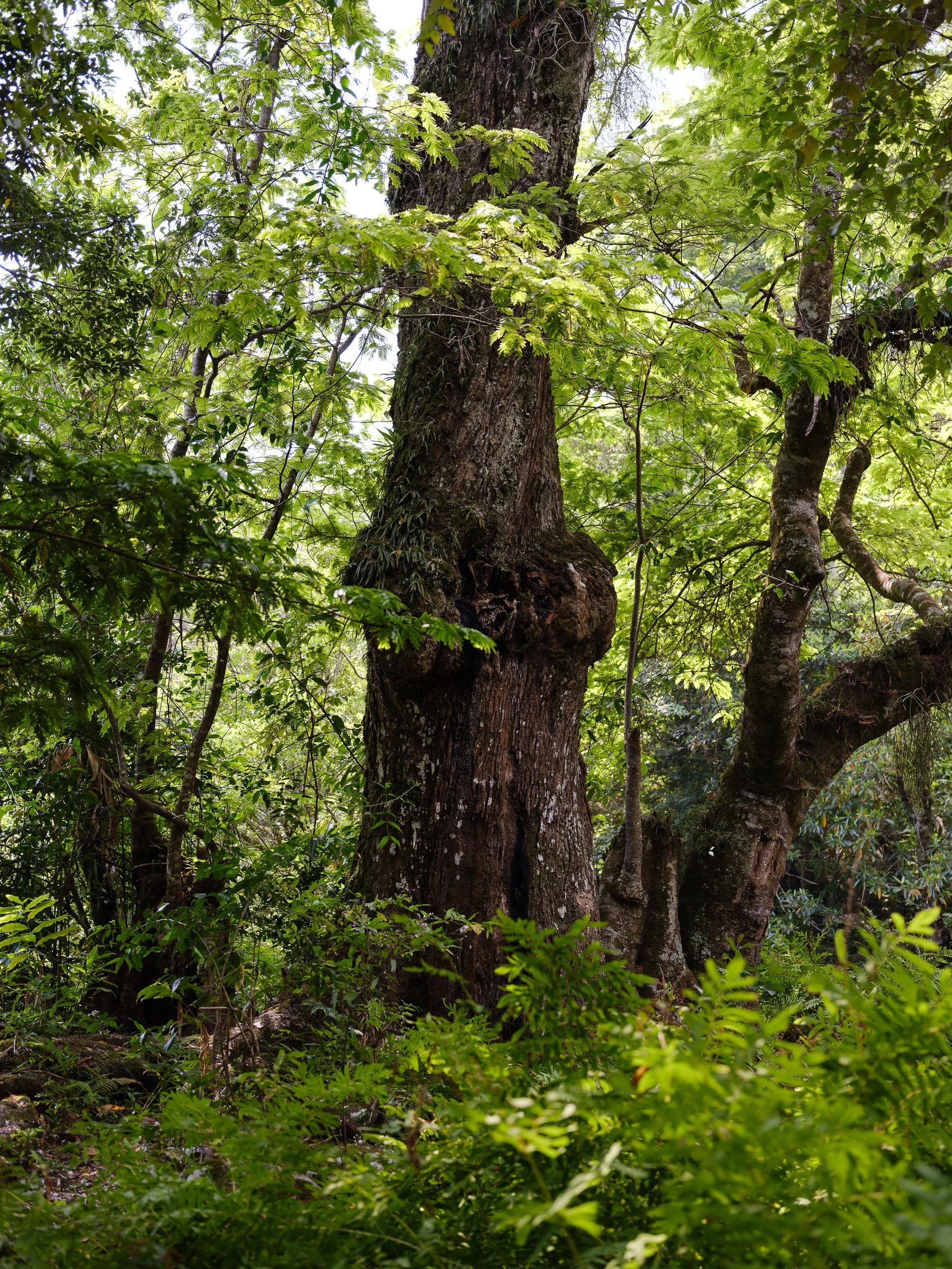 202110 Beira Gorongosa-114.jpg