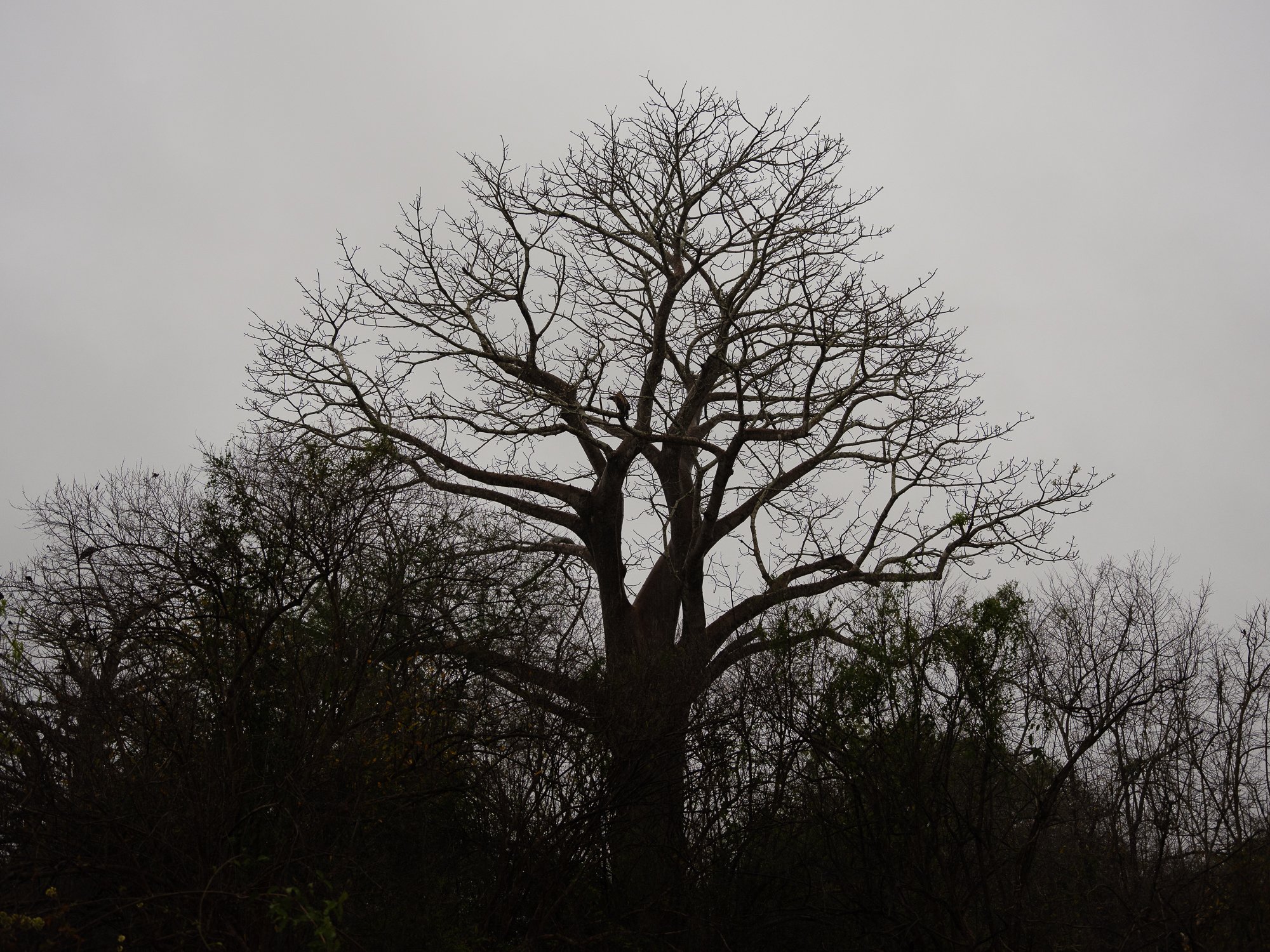 202110 Beira Gorongosa-123.jpg