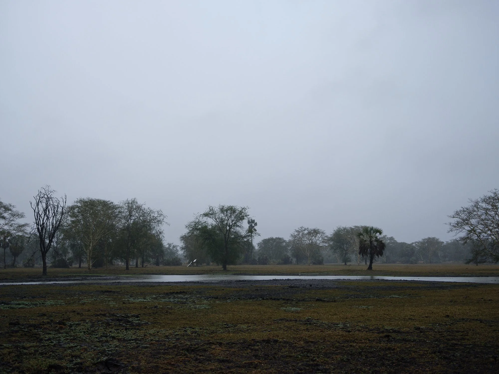 202110 Beira Gorongosa-127.jpg