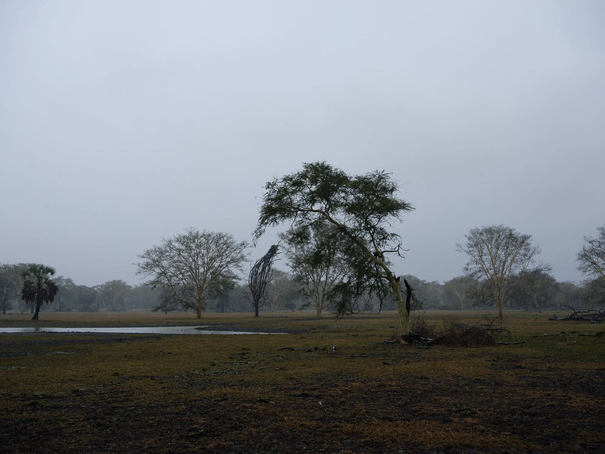 202110 Beira Gorongosa-129.jpg