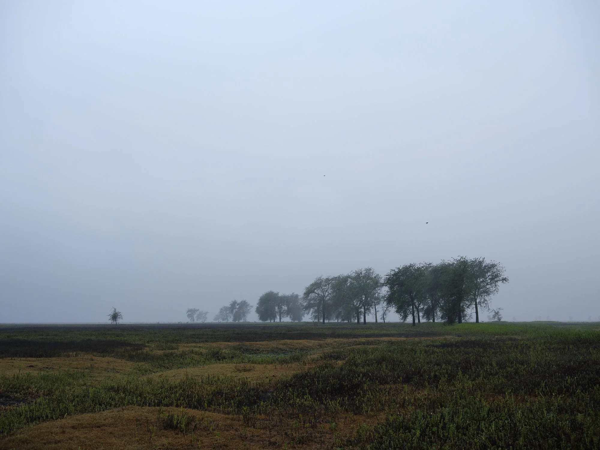 202110 Beira Gorongosa-132.jpg