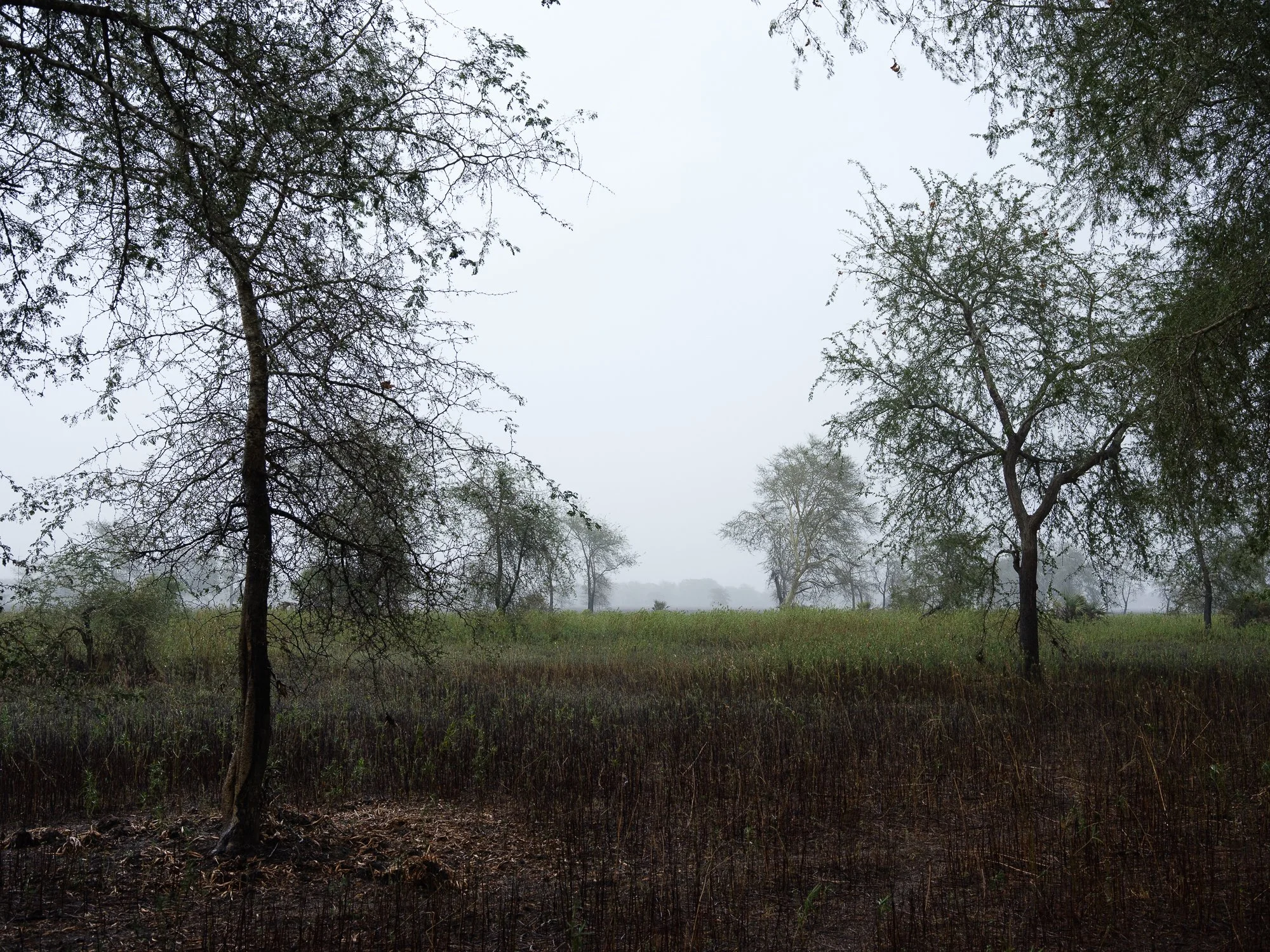 202110 Beira Gorongosa-131.jpg