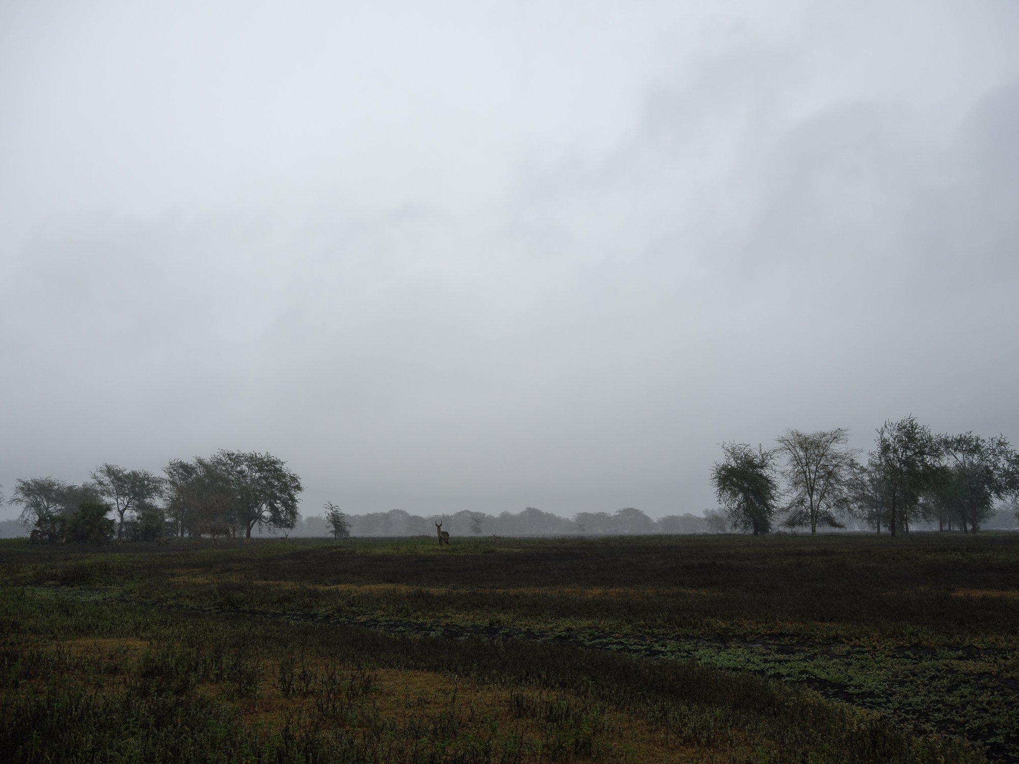 202110 Beira Gorongosa-133.jpg